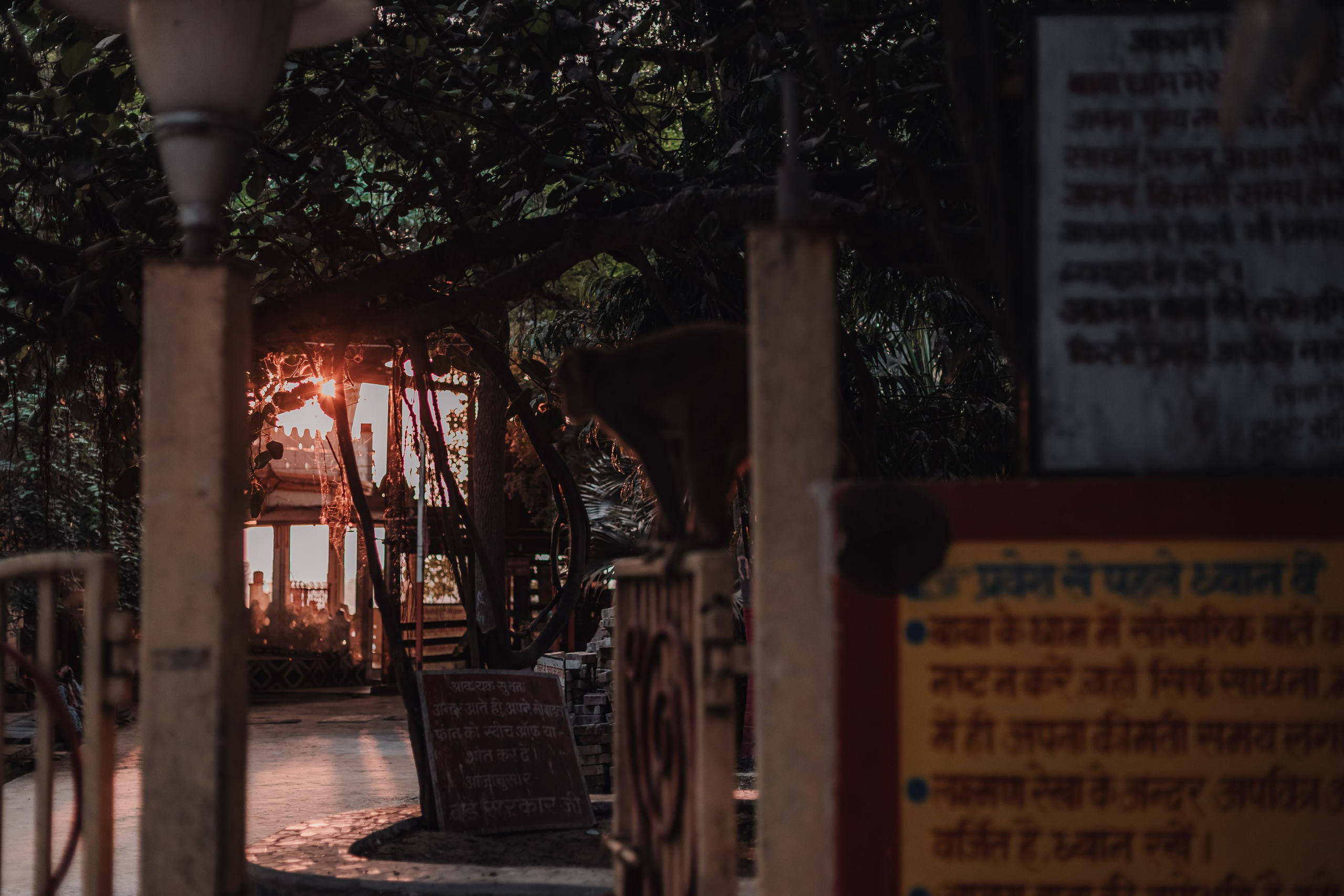 Devraha Baba Ji Ashram in Vrindavan. Мариам Багдасарян