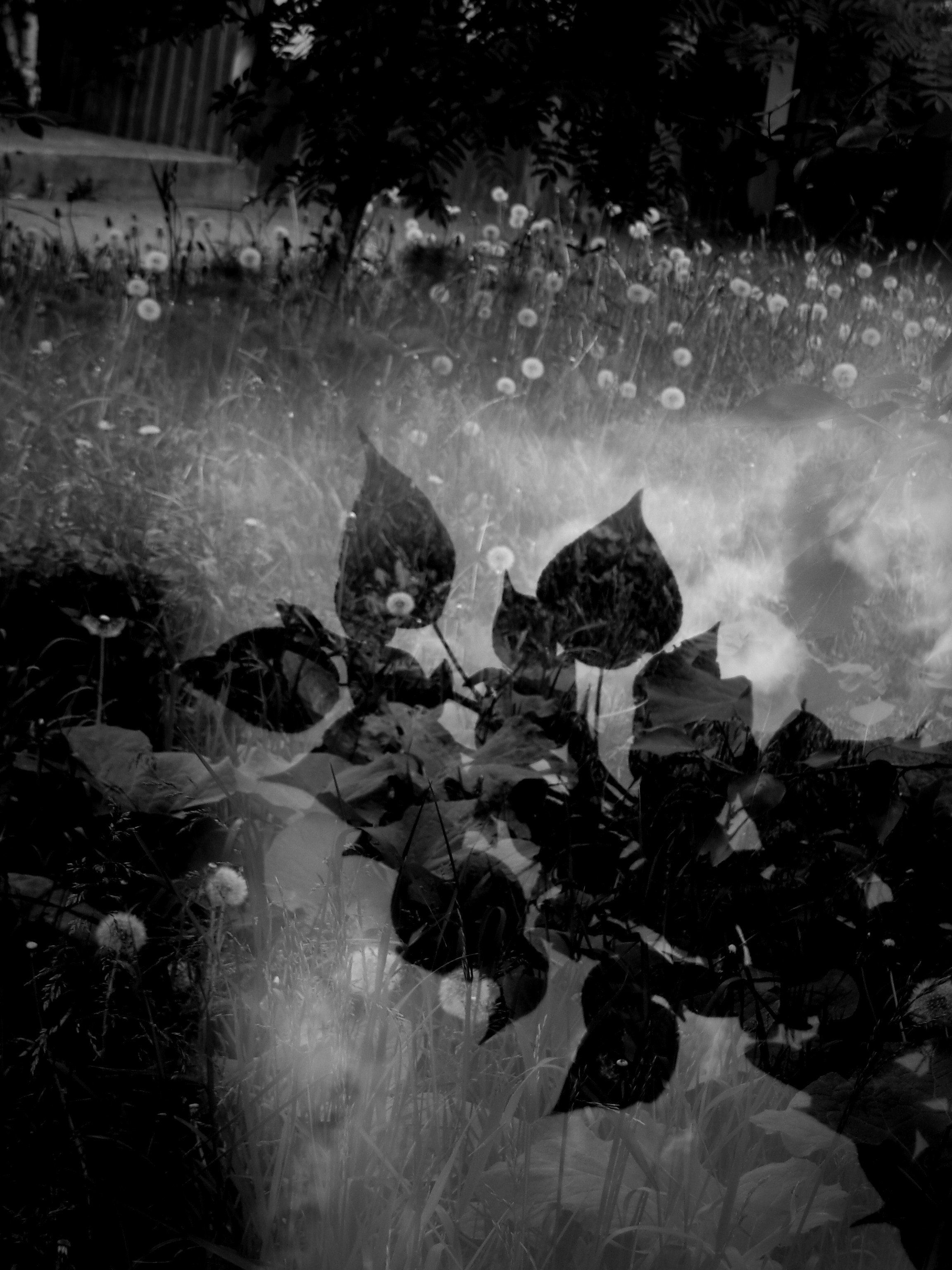 Bardo. Роман Ходырев — художник, фотограф, музыкант, эзотериолог. Санкт-Петербург, Рига