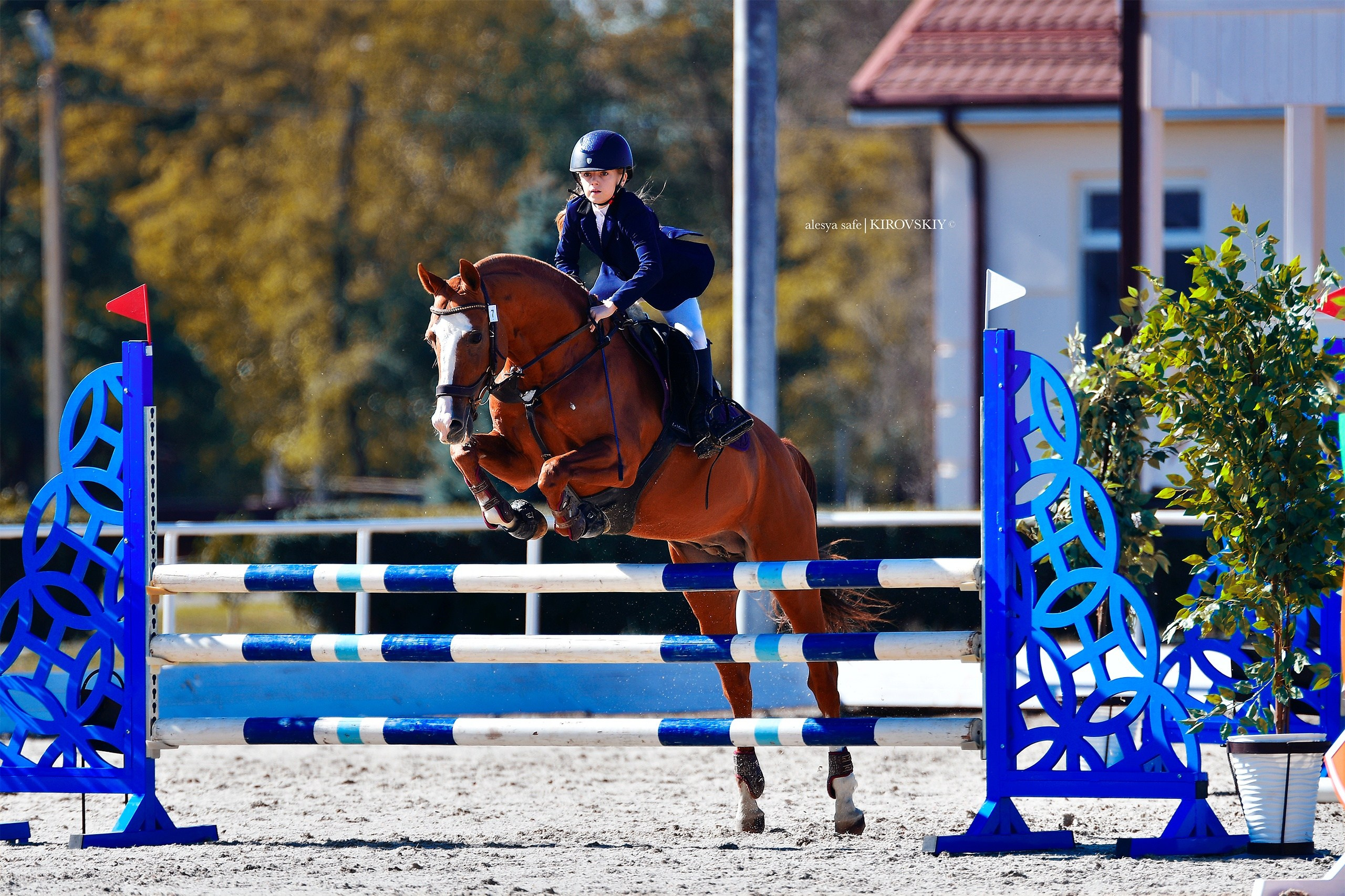 Кировский конный завод. Конный фотограф Alesya Safe