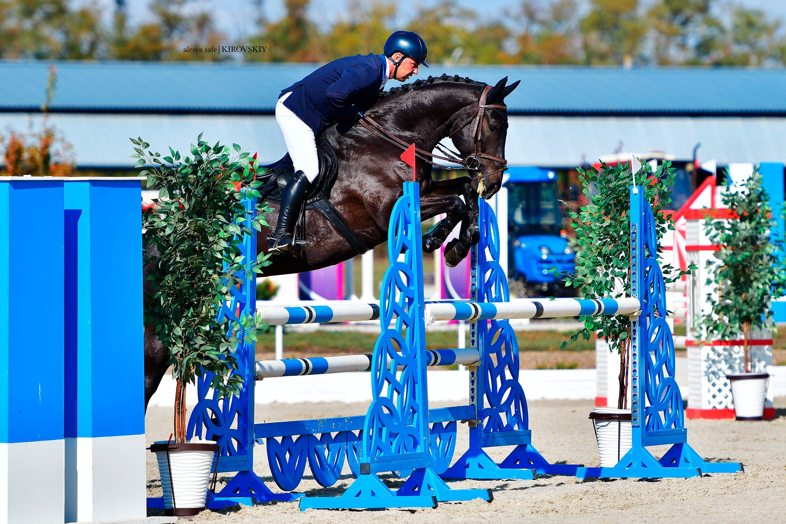 Кировский конный завод. Конный фотограф Alesya Safe