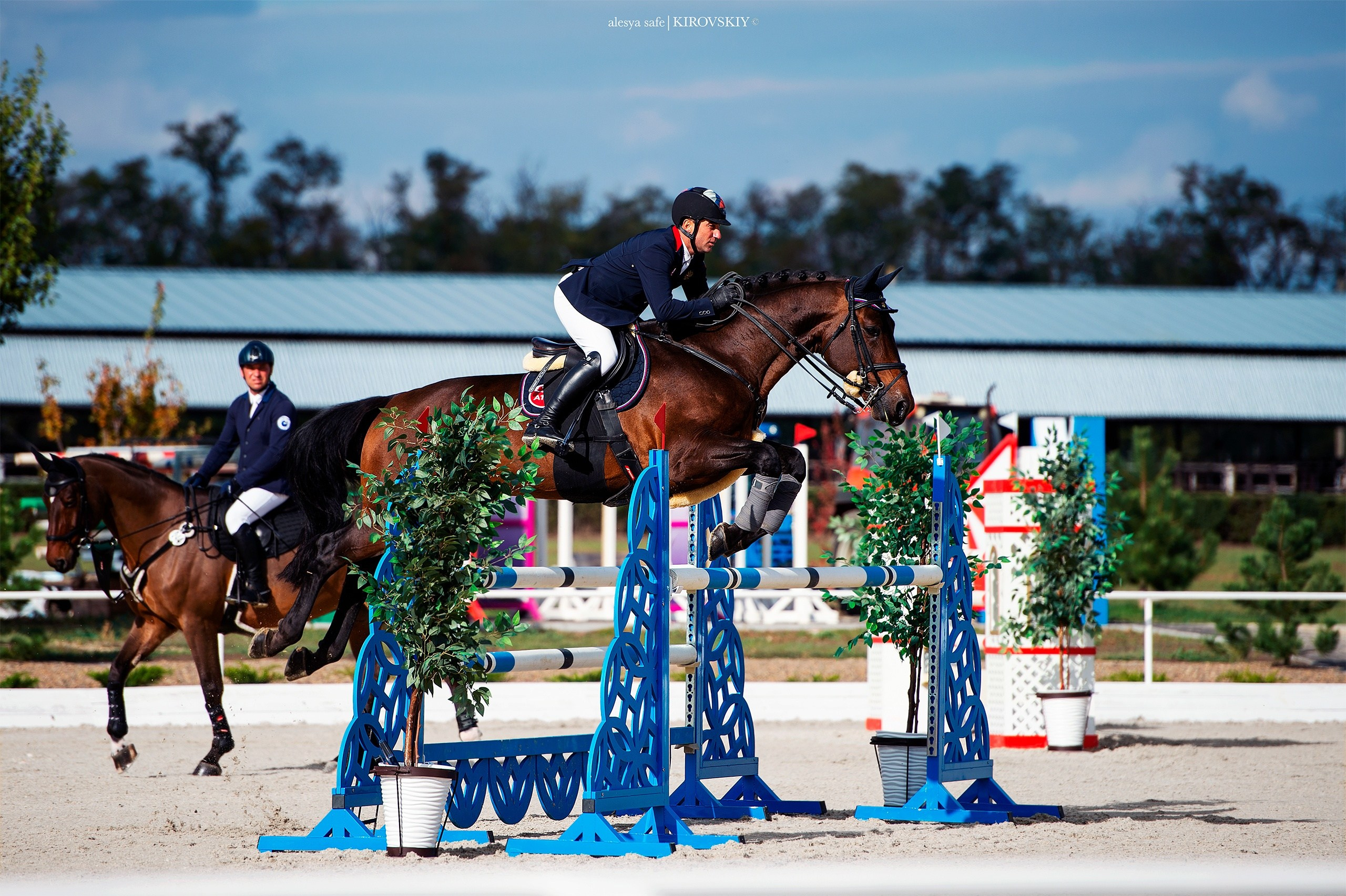 Кировский конный завод. Конный фотограф Alesya Safe
