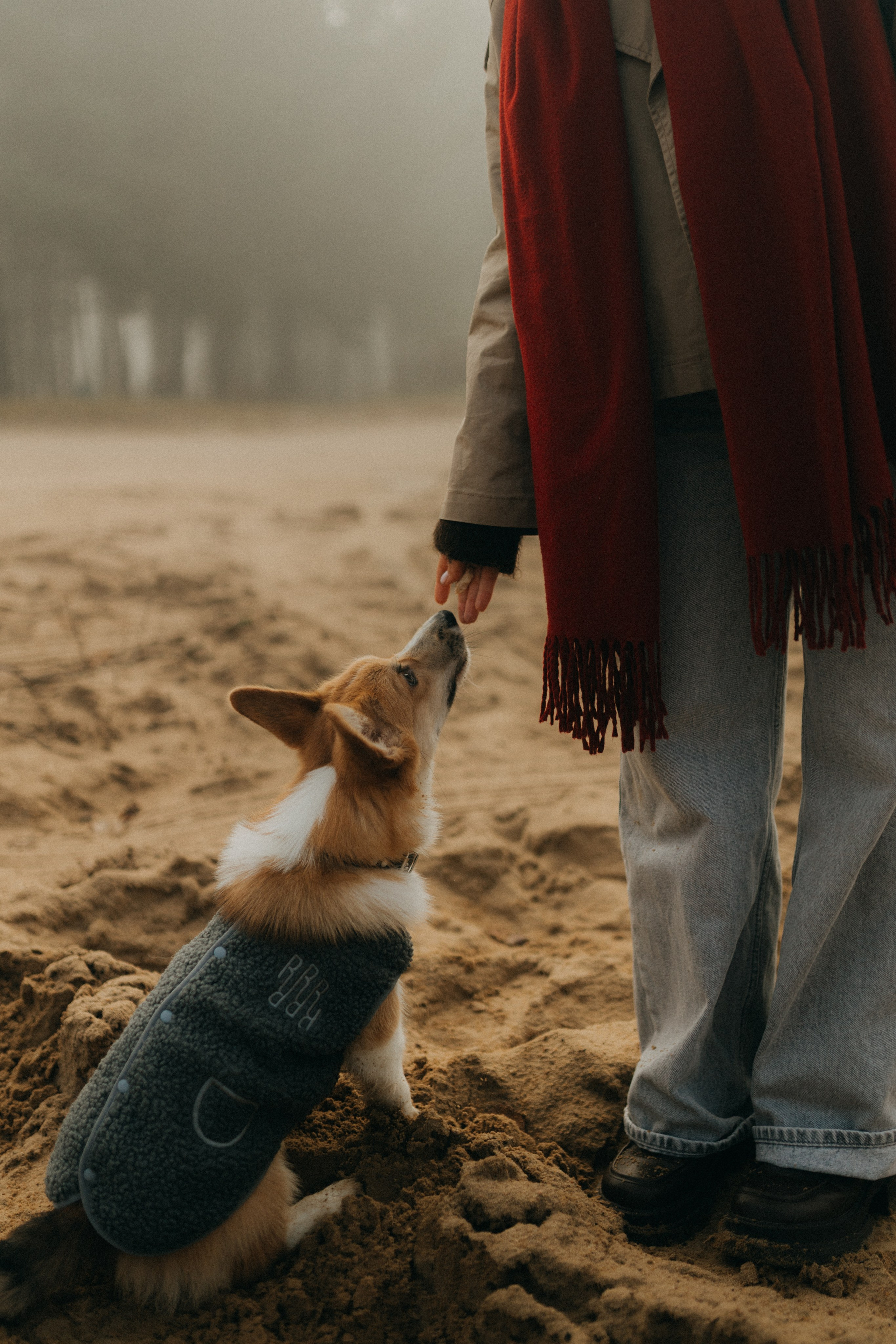 Алина. Фотограф НОГИНСК, Москва, Анастасия Белая