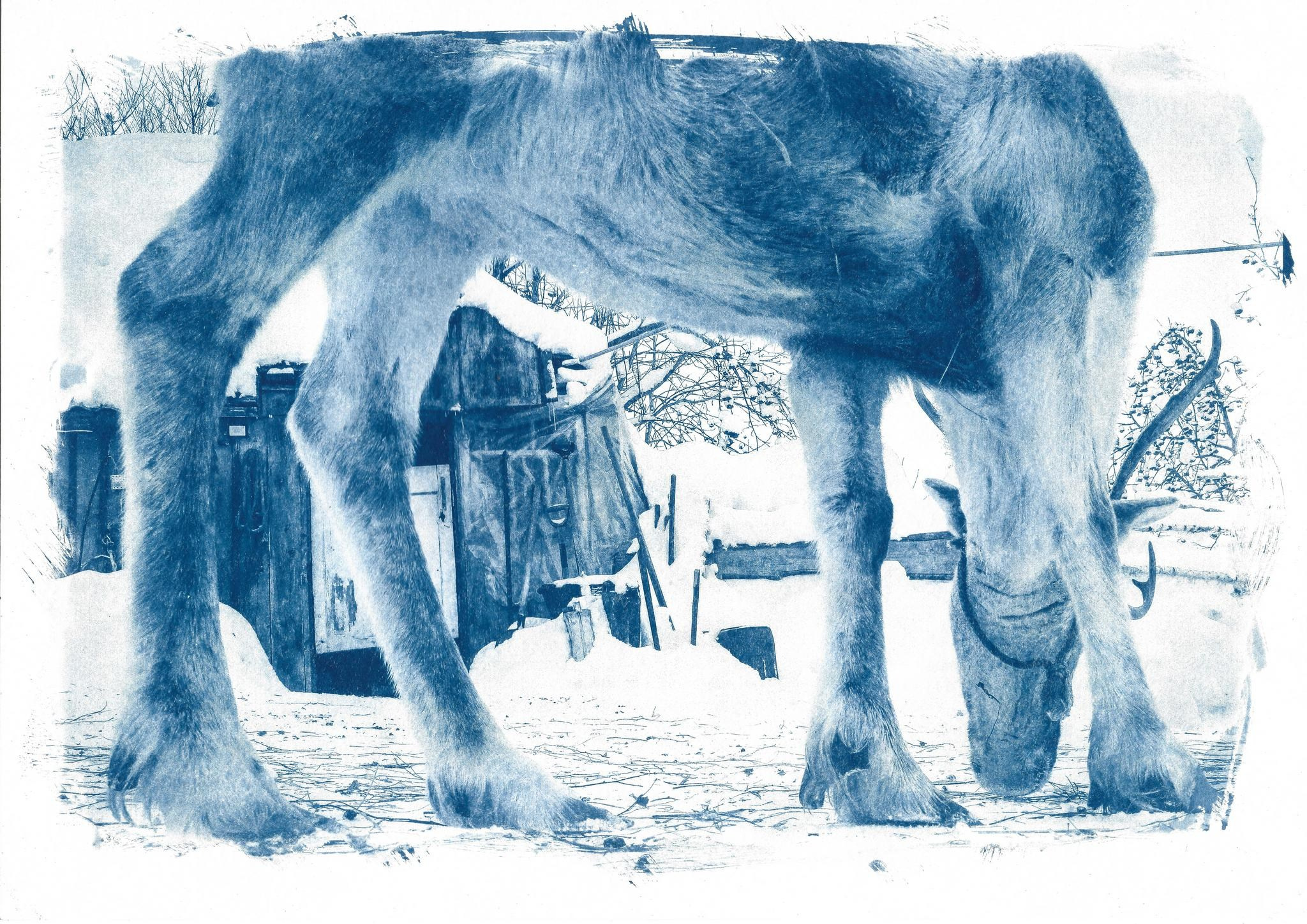 Дом снега. Shatohina.com