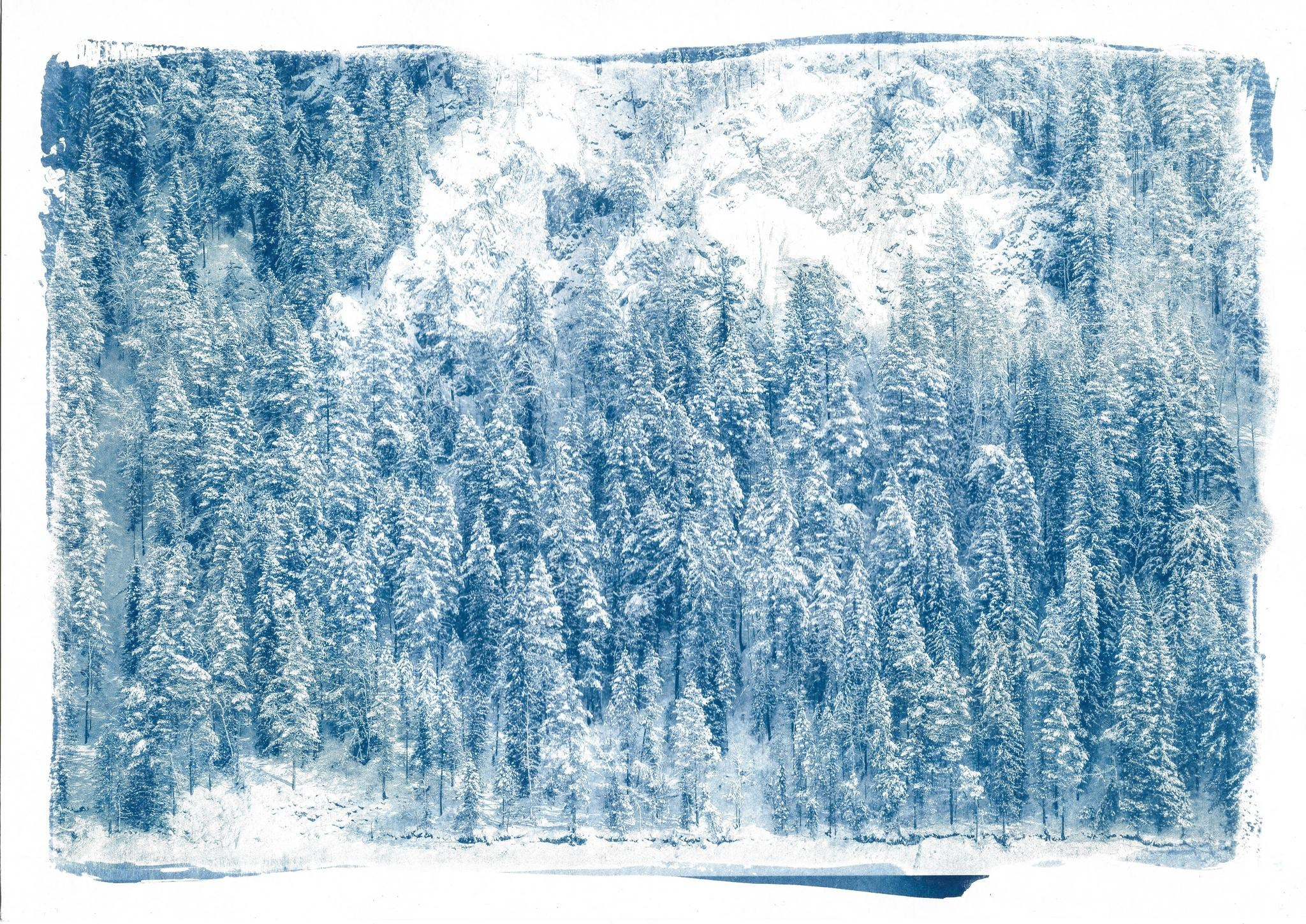 Дом снега. Shatohina.com