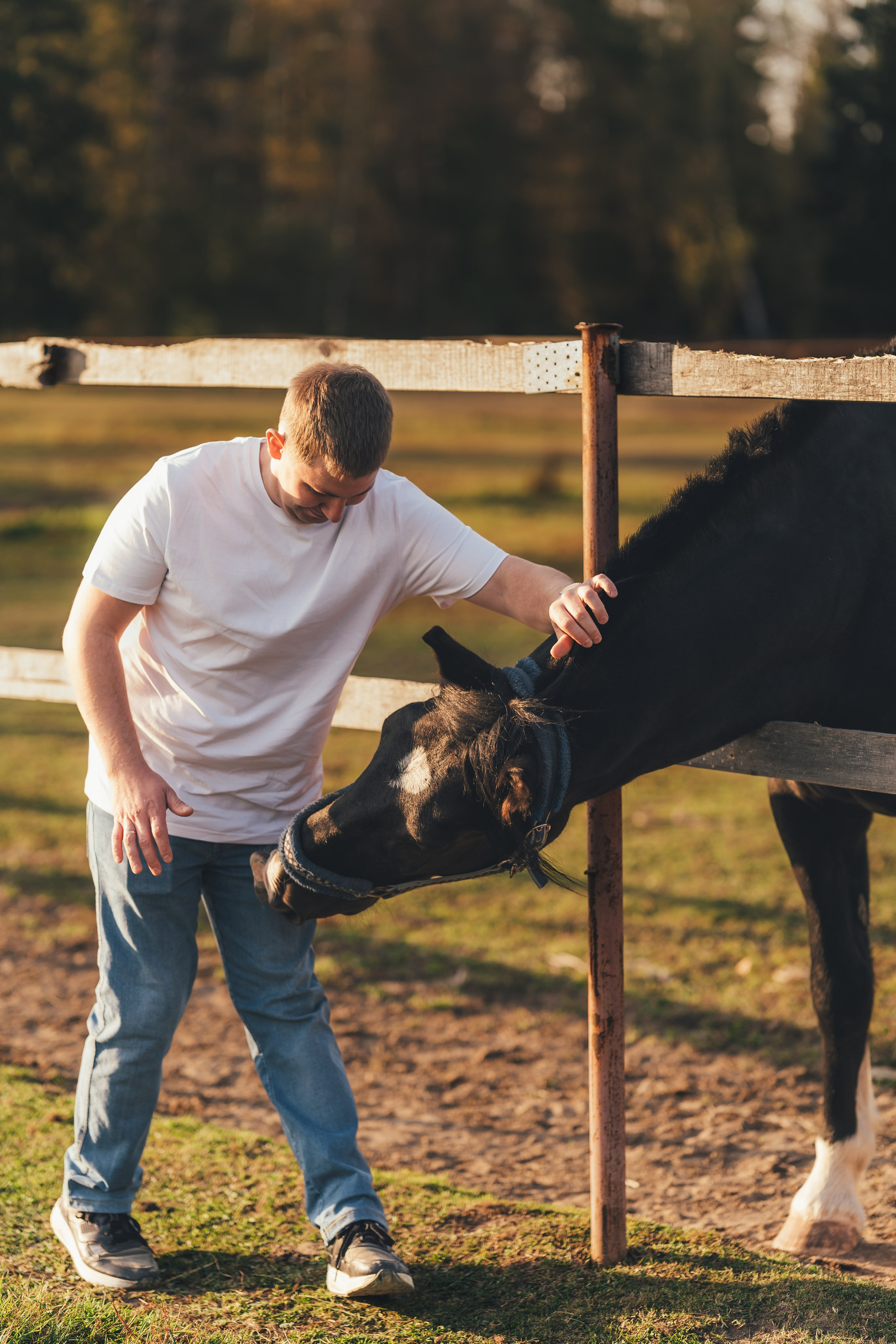 Лошадь ткнула носом мужчину