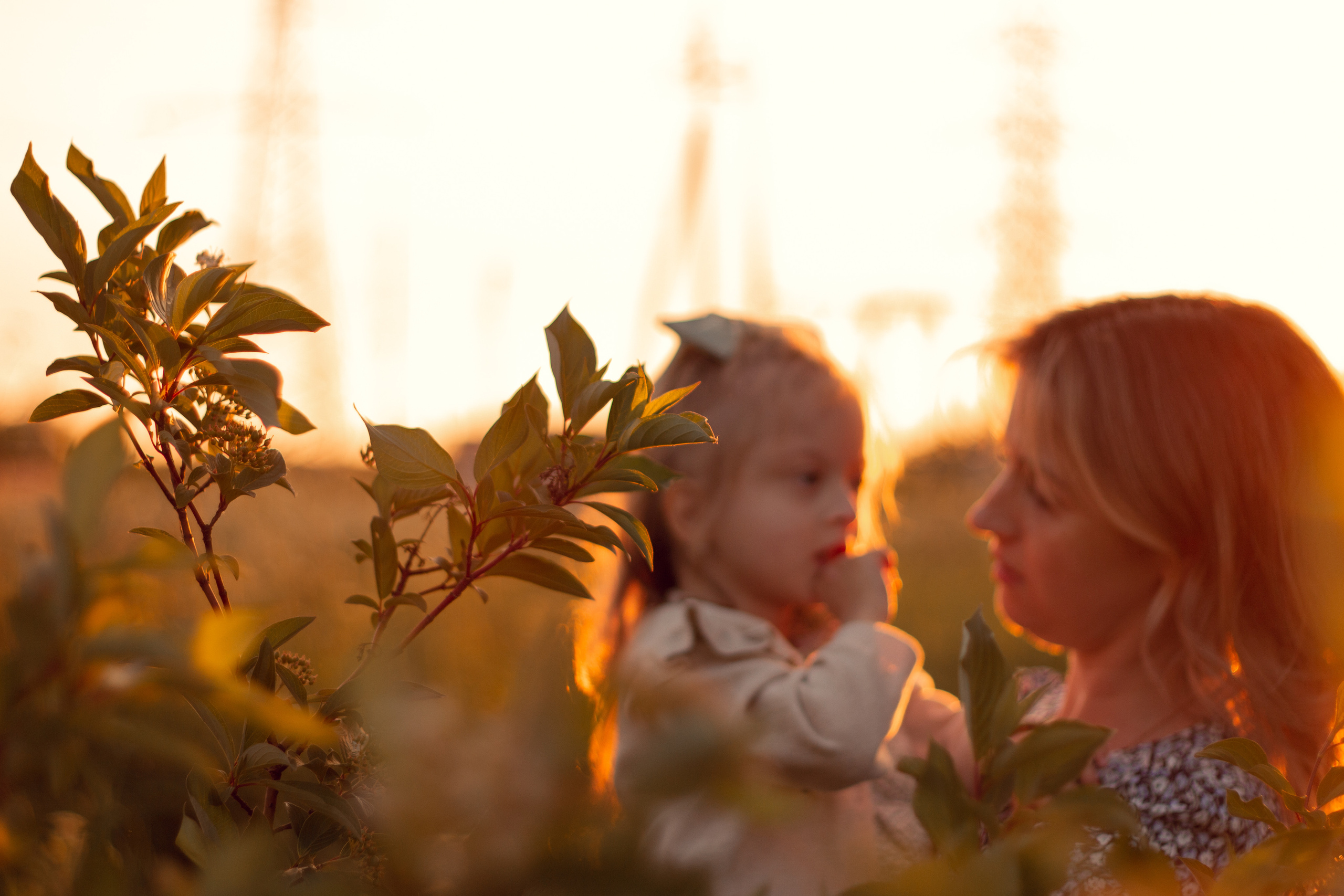 На закате. Семейный и детский фотограф в Ярославле Виктория Макаренко
