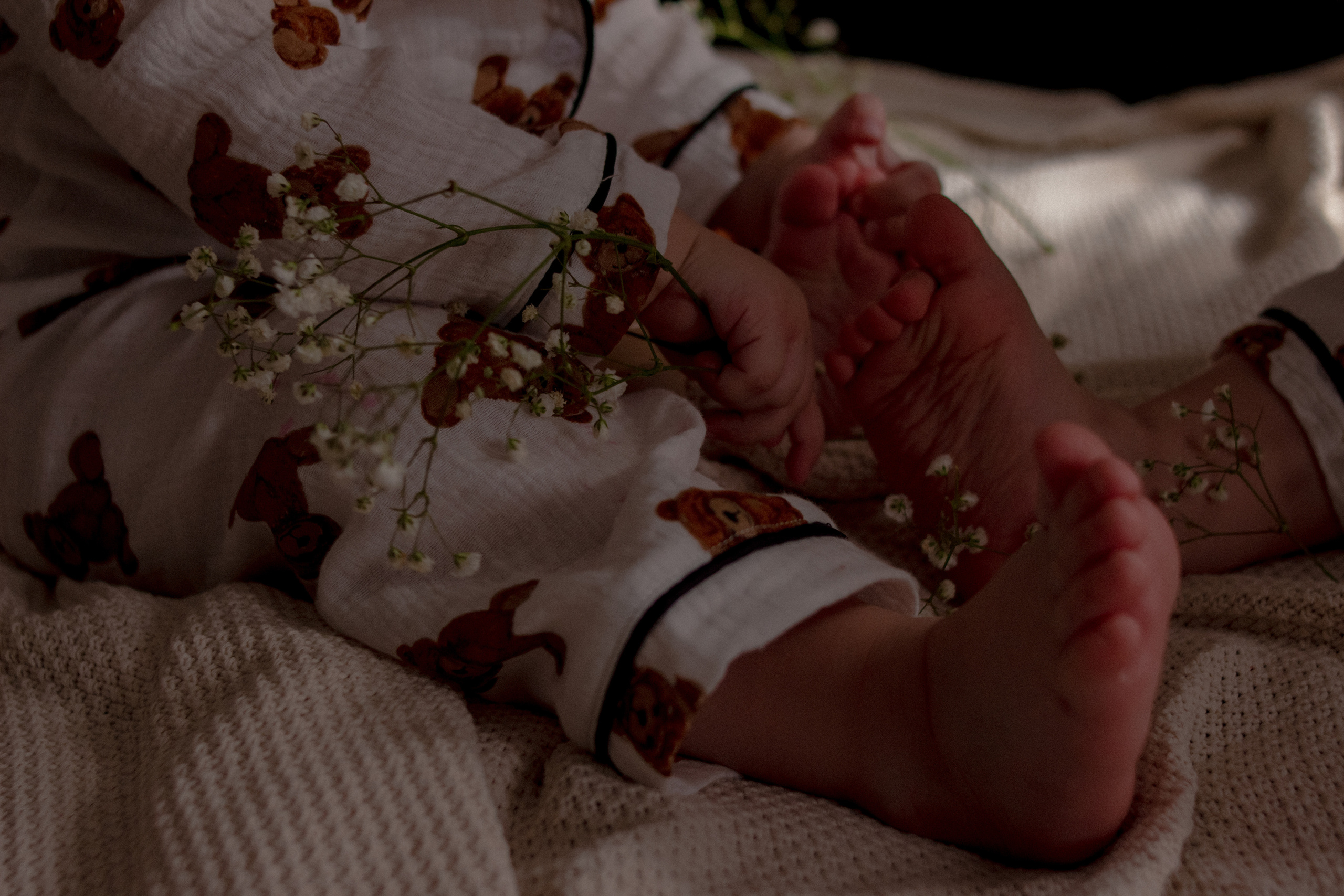 Милые двойняшки. Семейный и детский фотограф в Ярославле Виктория Макаренко