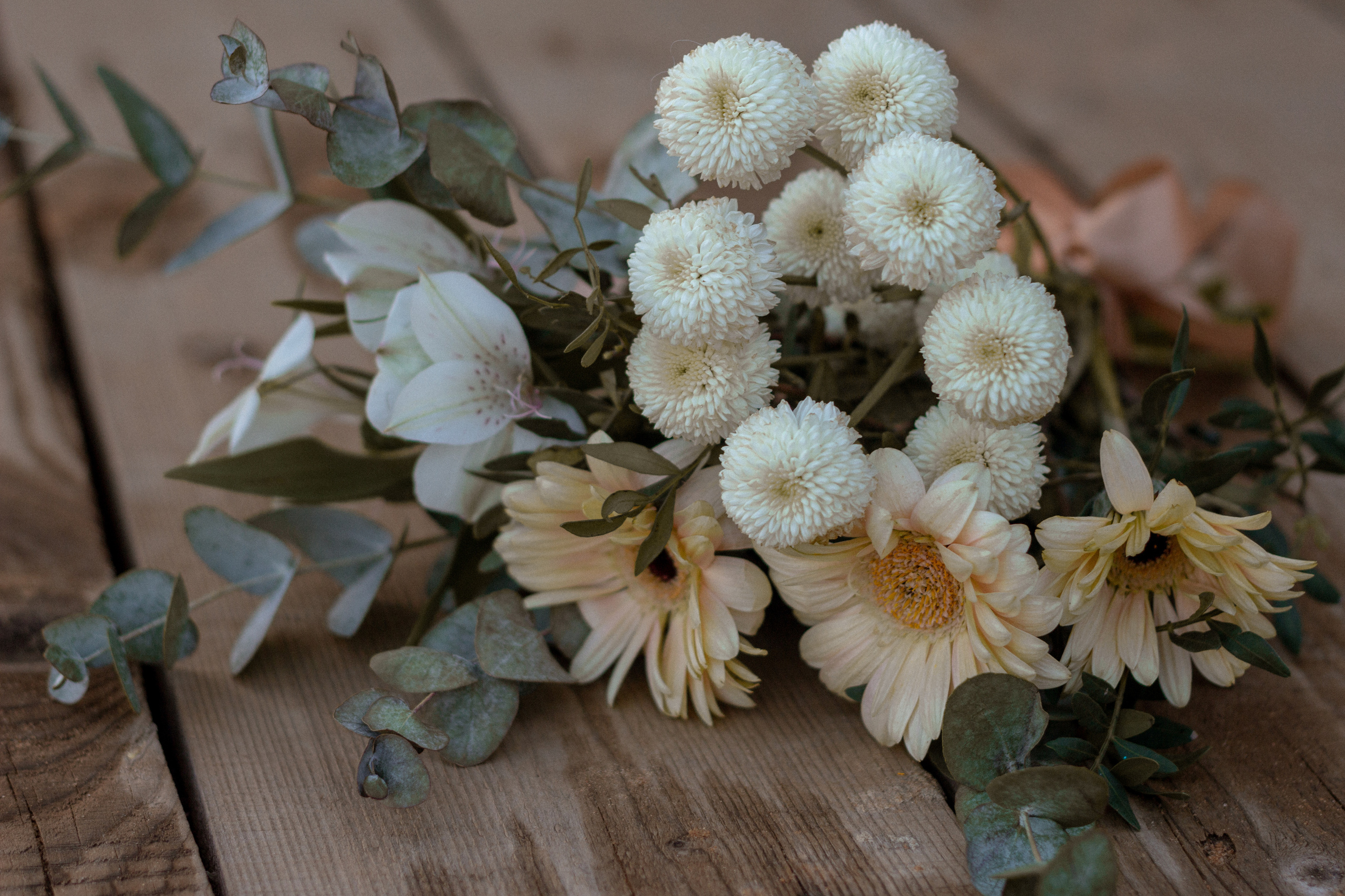 Весенний вечер. Семейный и детский фотограф в Ярославле Виктория Макаренко