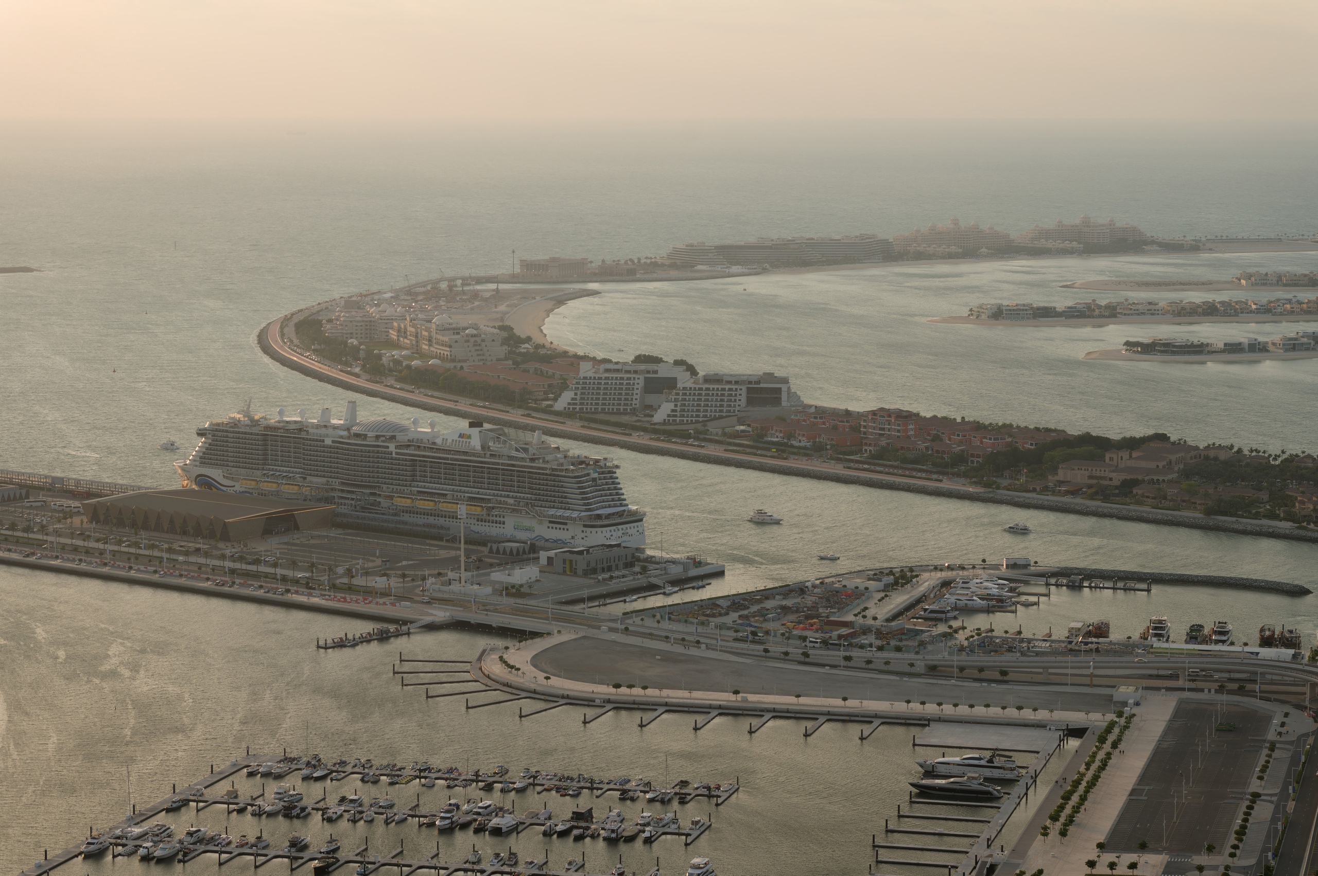 A cruise ship at palm