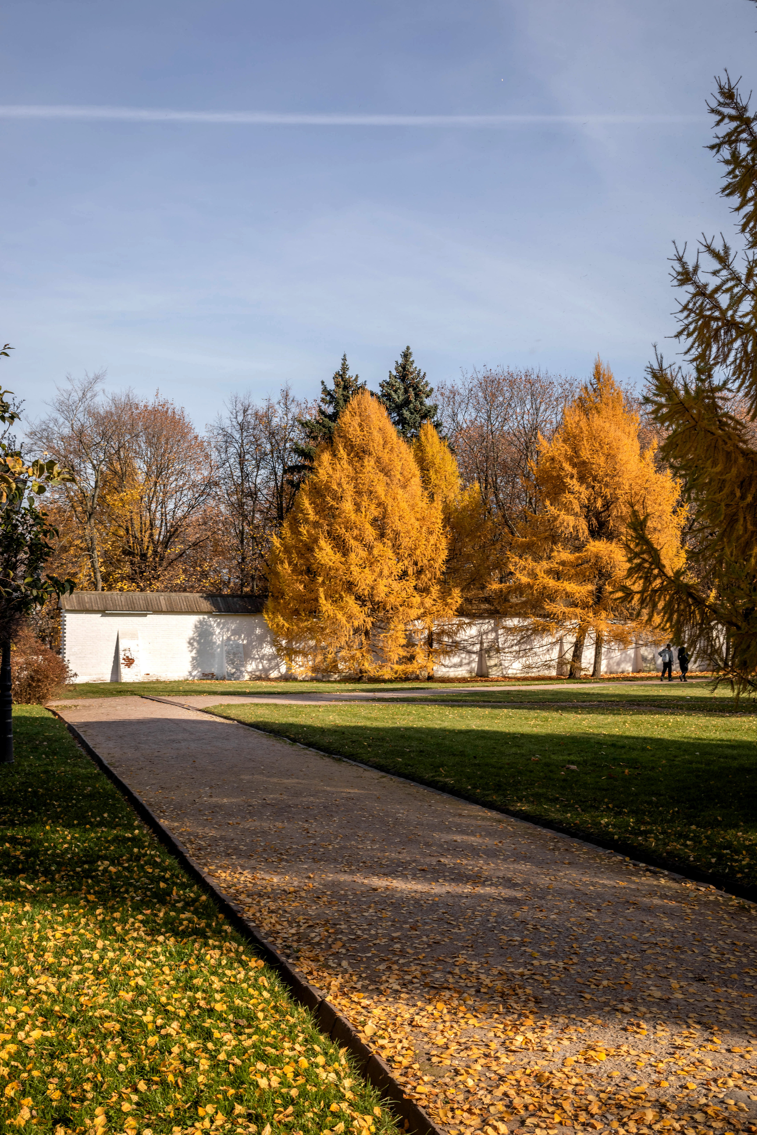 Наталья. Фотограф Алина Гашникова