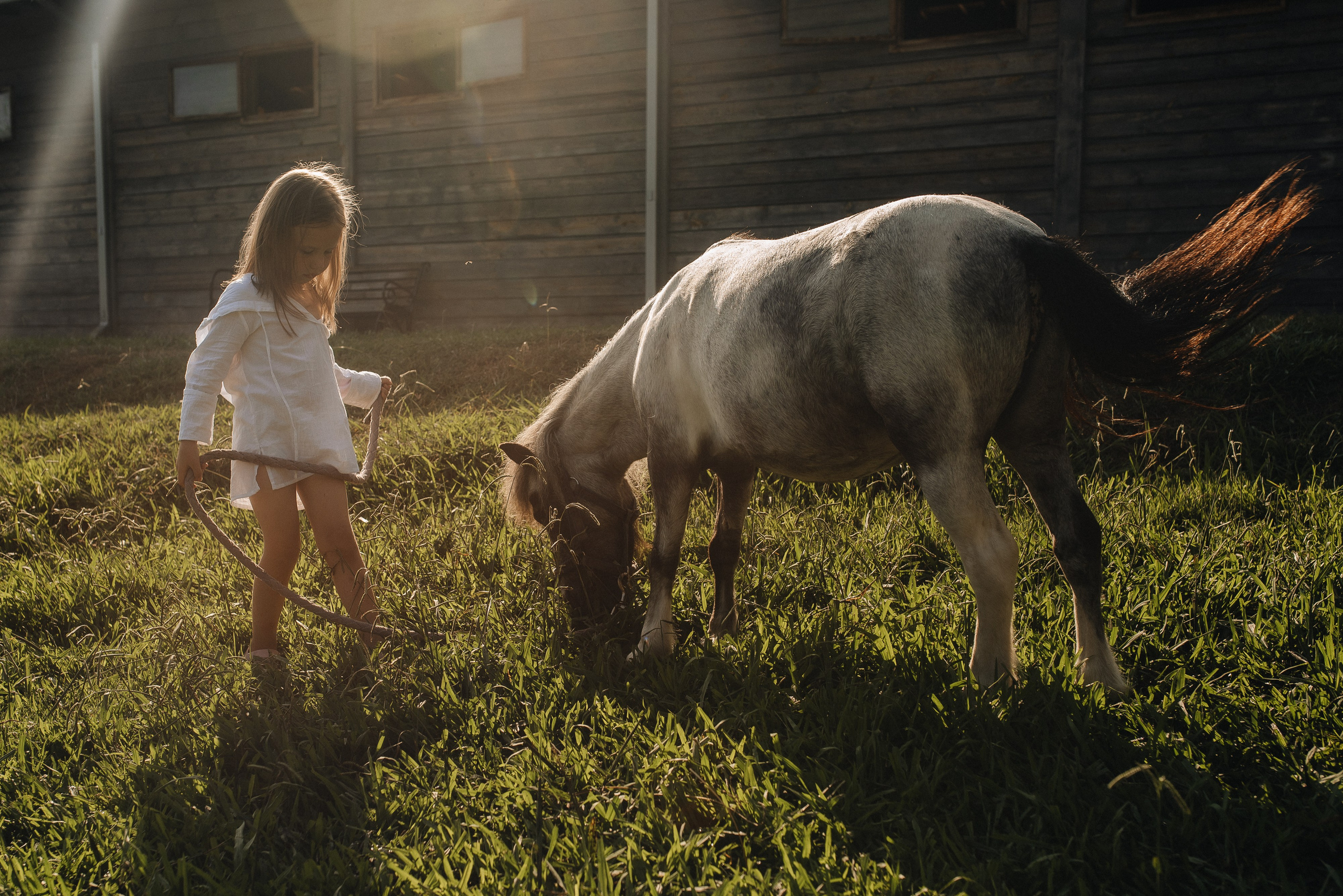 На ферме. Семейная фотосессия в Новосибирске от фотографа Ольги Коваль