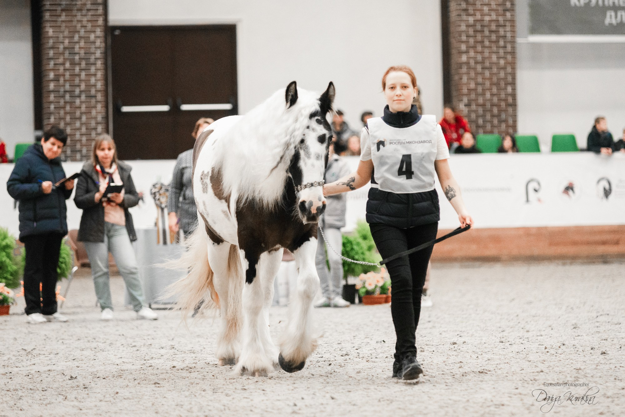 8-я международная выставка Конная Россия. Конный фотограф Куракина Дарья • Фотосессии с лошадьми