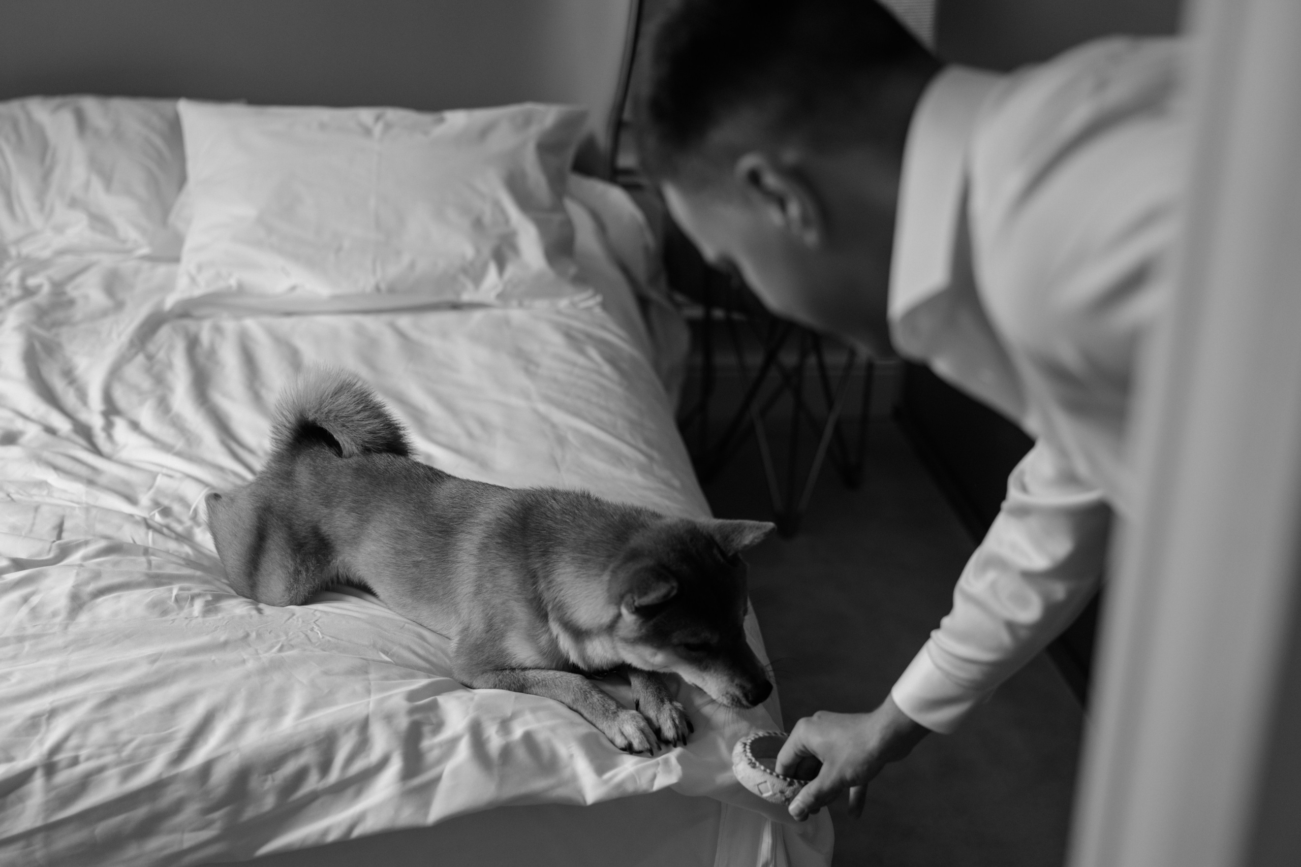 Вероника и Денис. Свадебный фотограф в Санкт-Петербурге Екатерина Евсеева