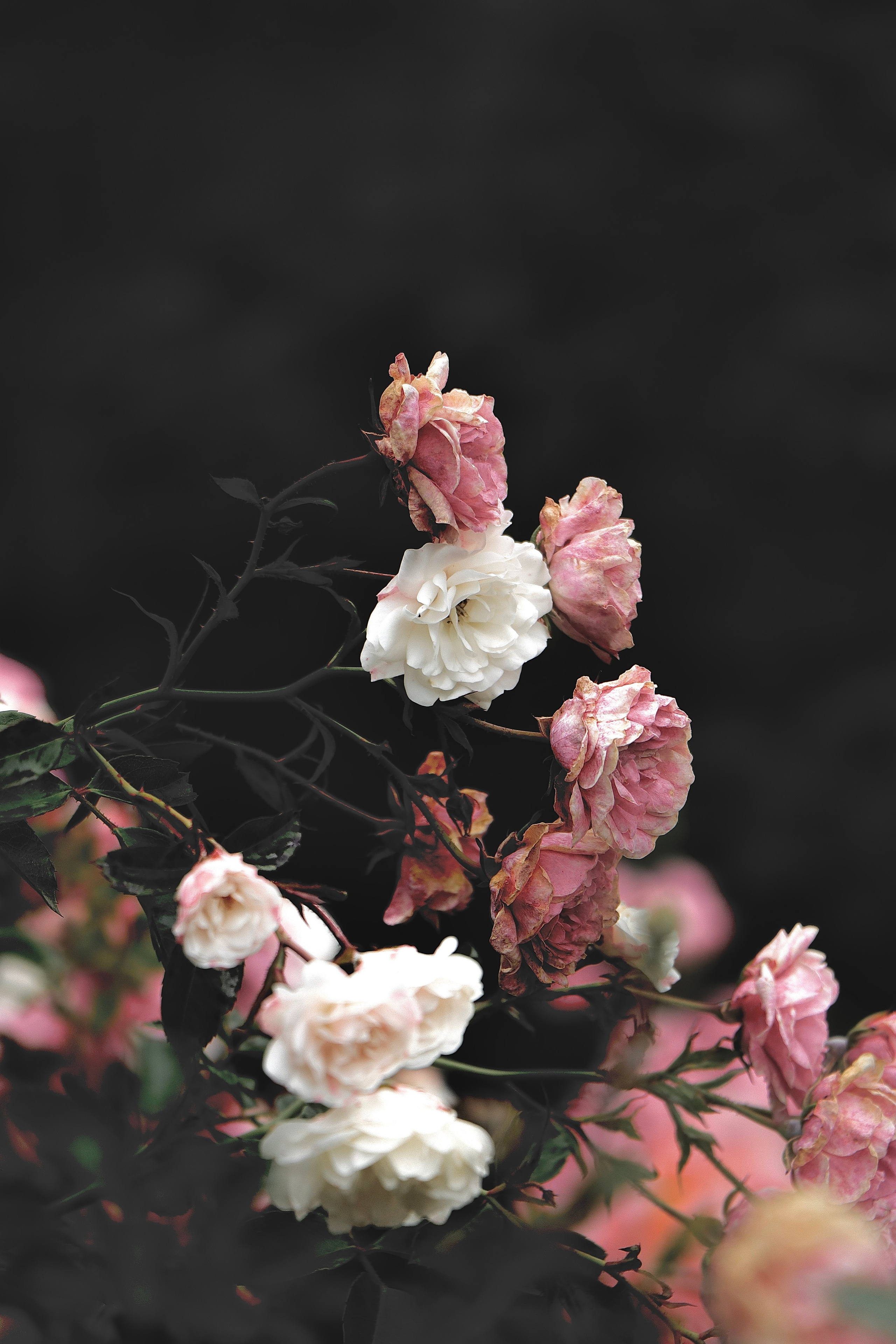 Пейзажи и прочее