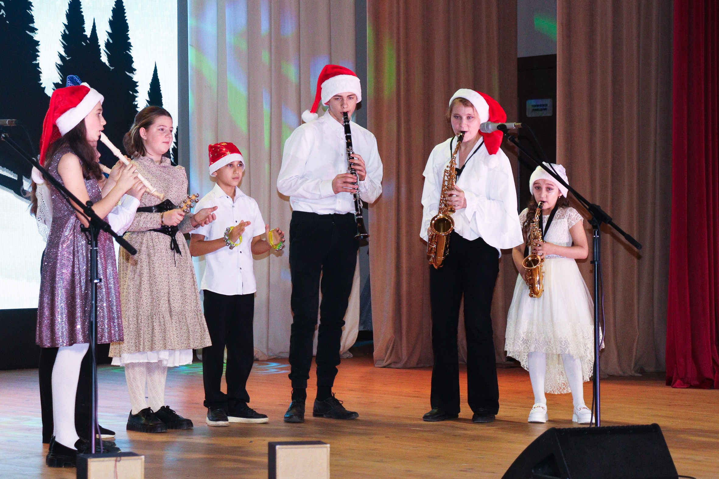 Новогодний концерт Шишли-Мышли