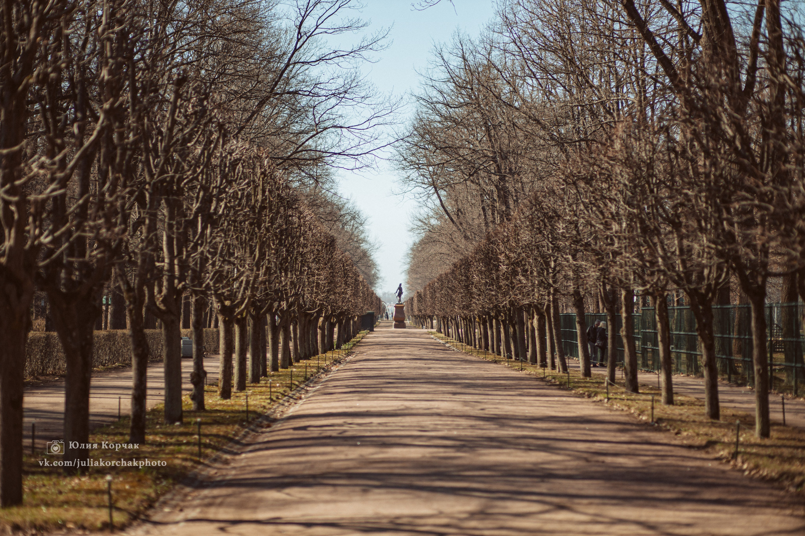 Петергоф нижний парк фото