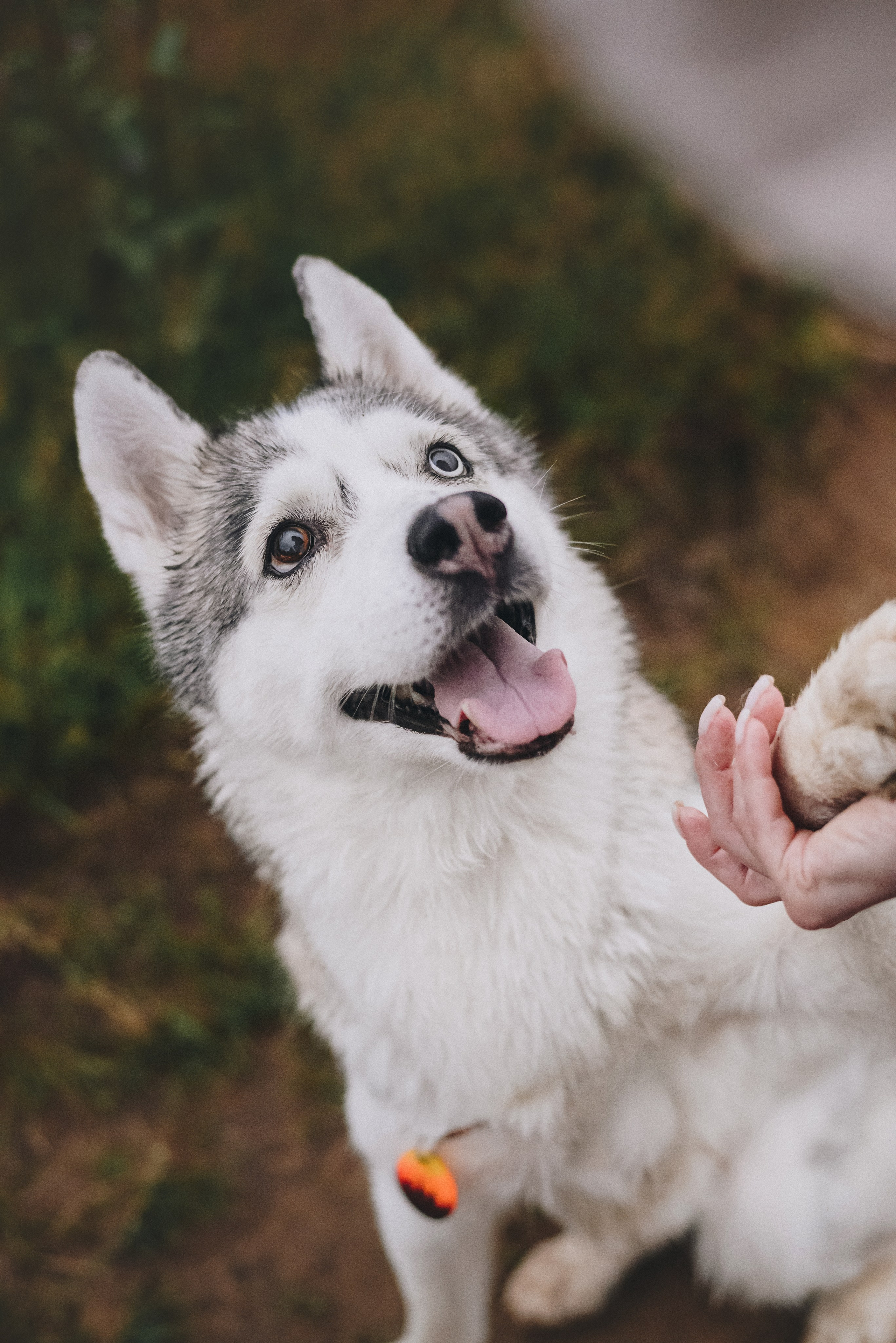 Lilya & Eva. Natalia Finch Photography — Family, Kids & Pet Photographer in Chicago, IL