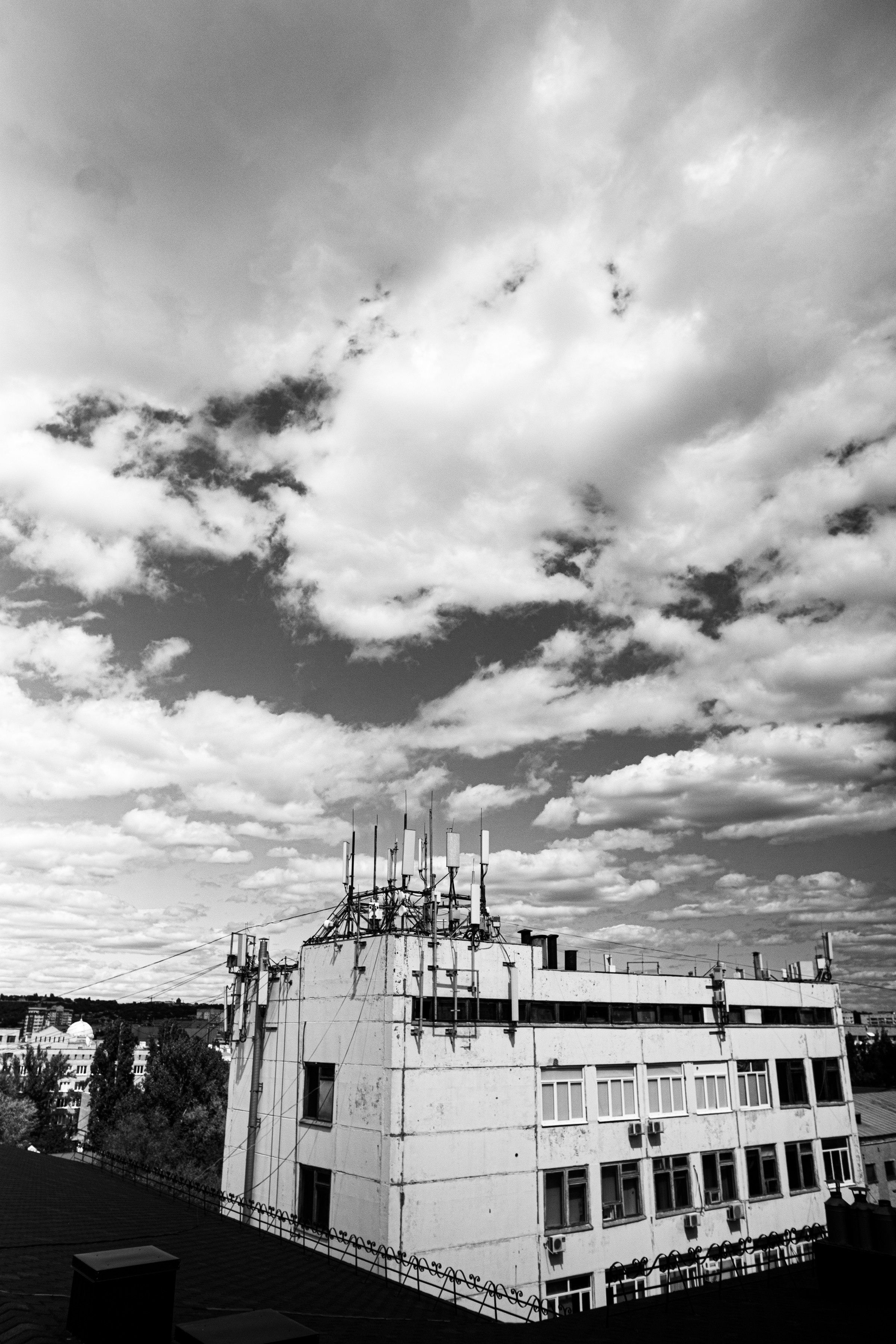 Екатерина и Александр. Ольга Плаксина фотограф в Саратове