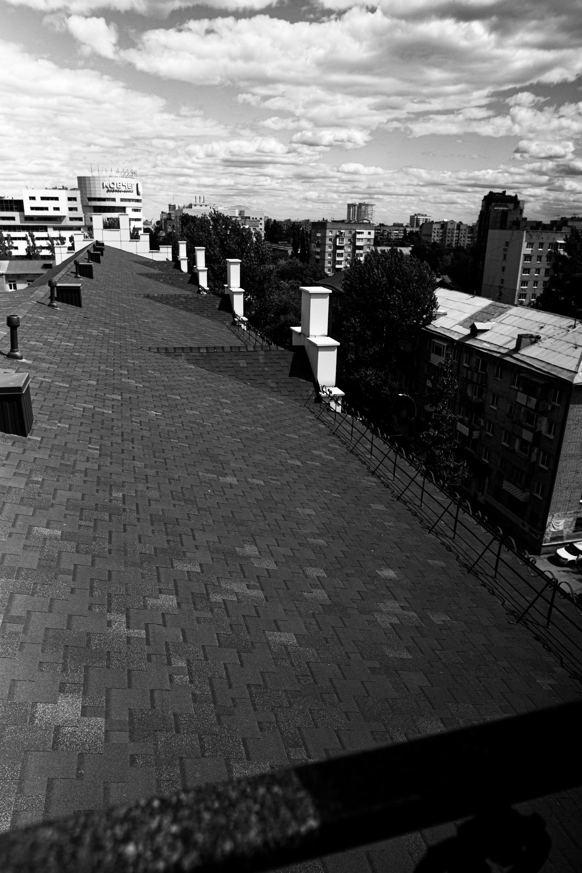 Екатерина и Александр. Ольга Плаксина фотограф в Саратове