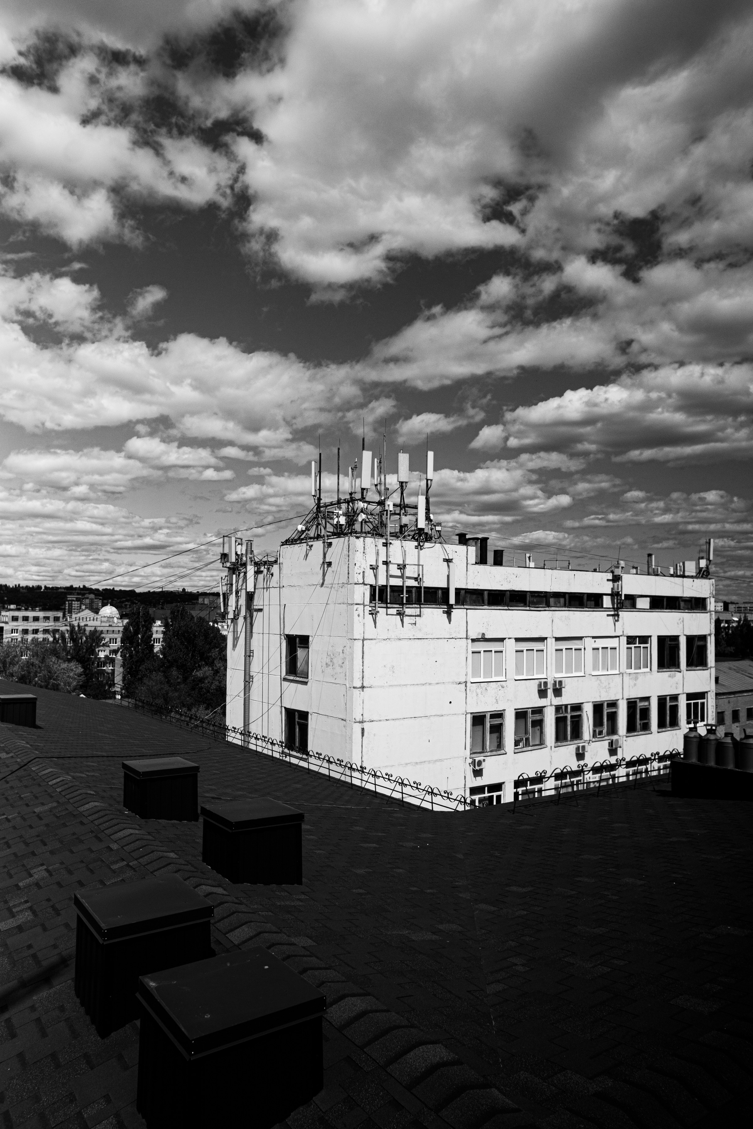 Екатерина и Александр. Ольга Плаксина фотограф в Саратове