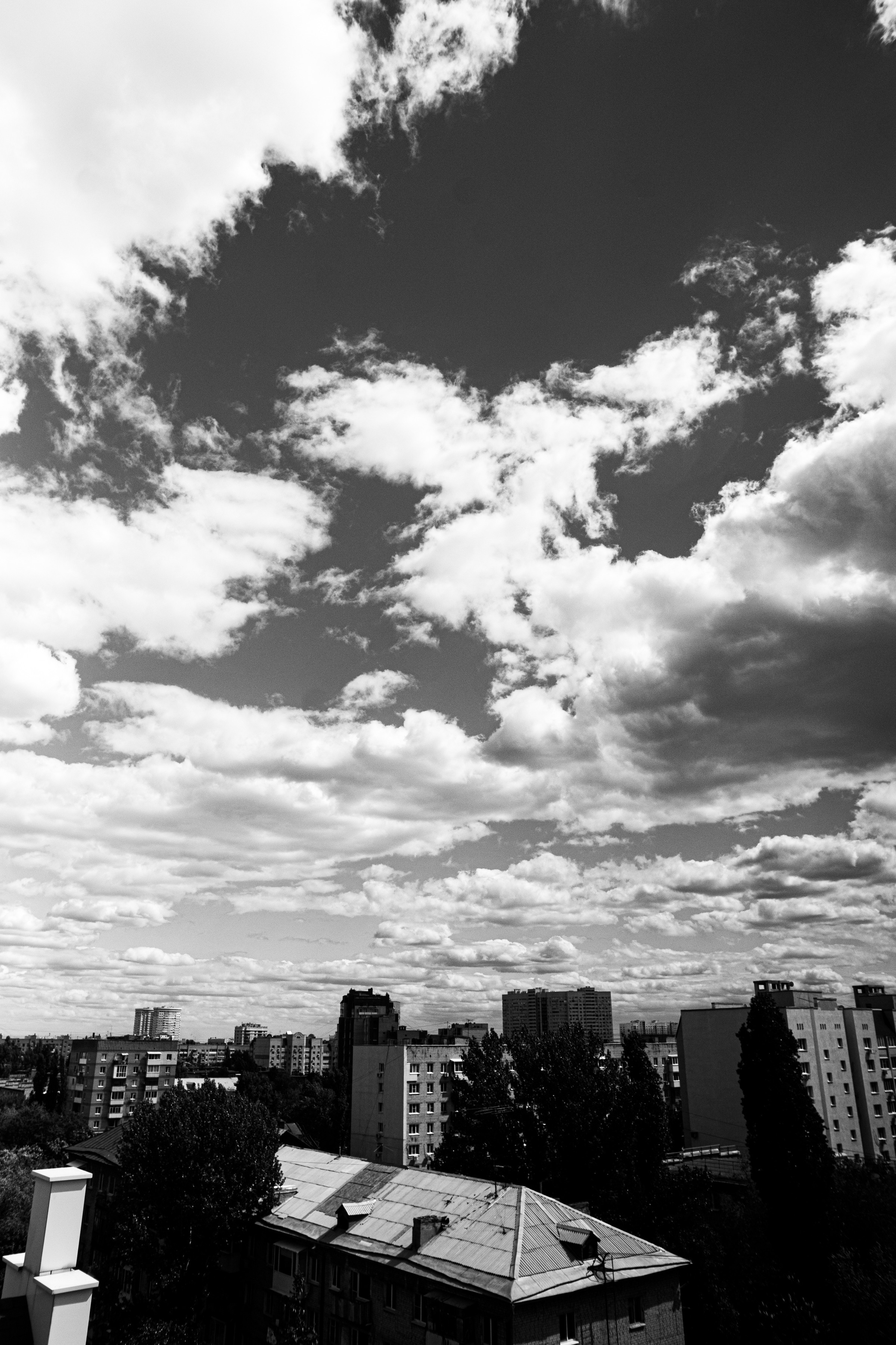 Екатерина и Александр. Ольга Плаксина фотограф в Саратове