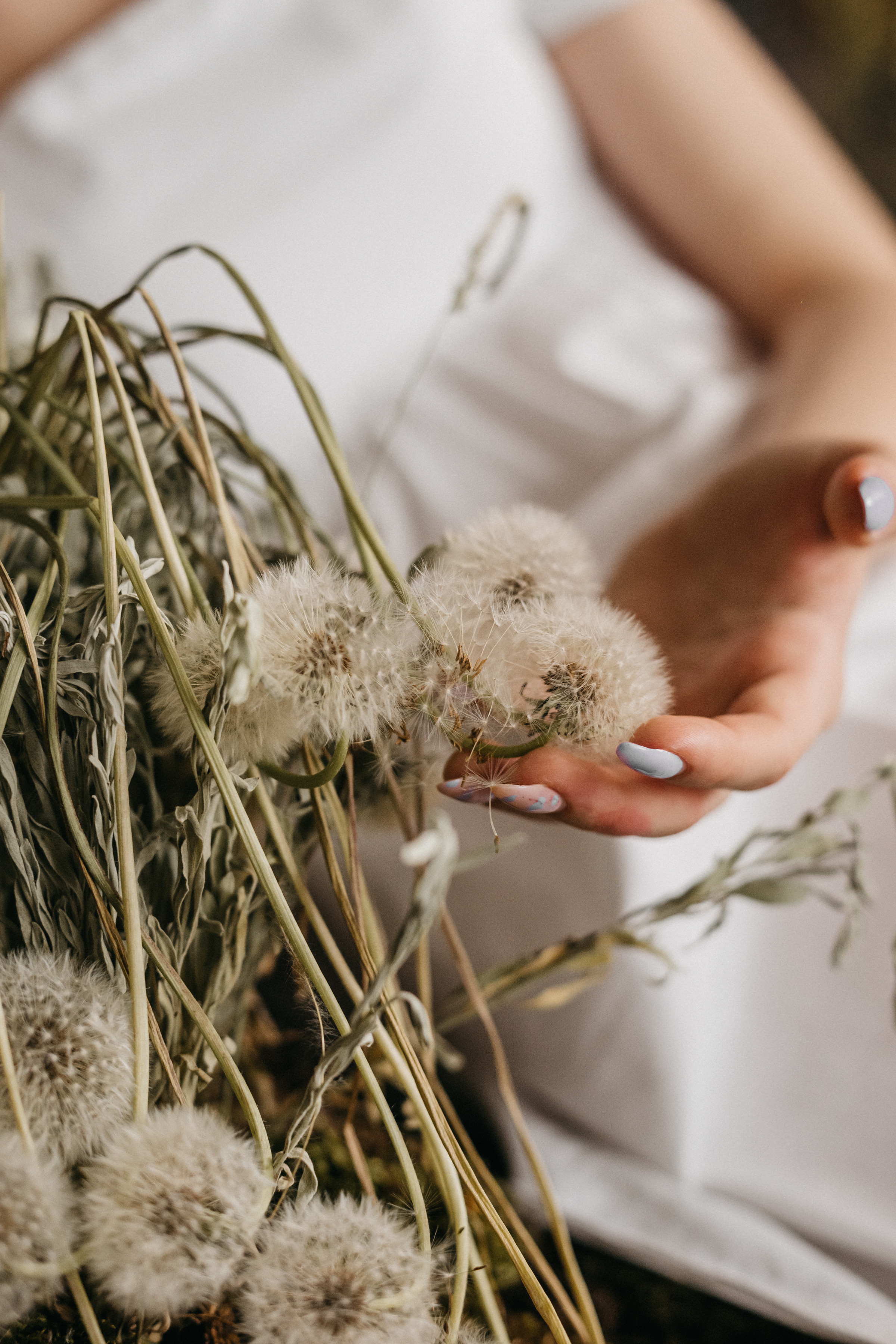 Алина. Ольга Плаксина фотограф в Саратове