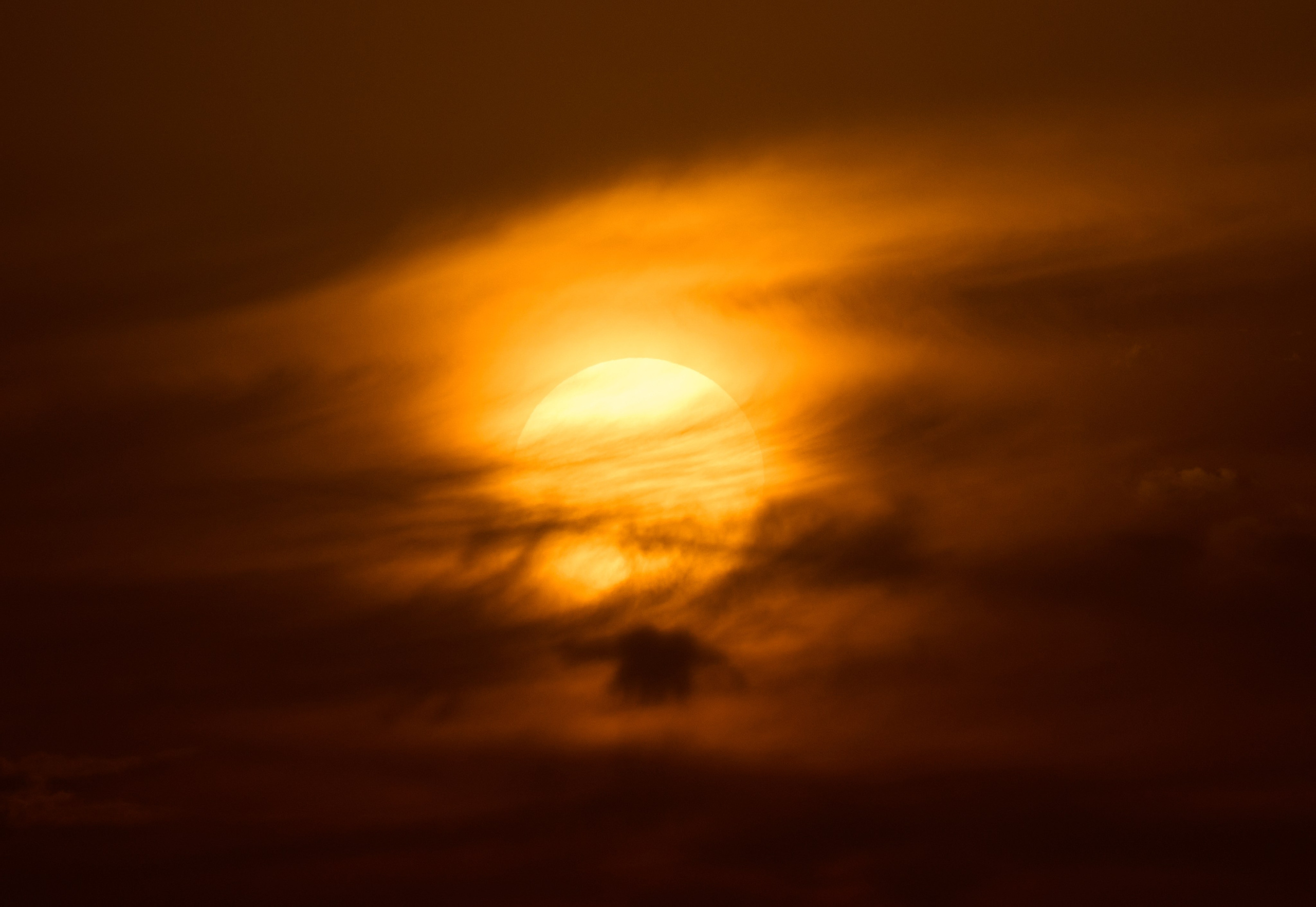 Gambia River. See the moment and catche. commercial and reportage