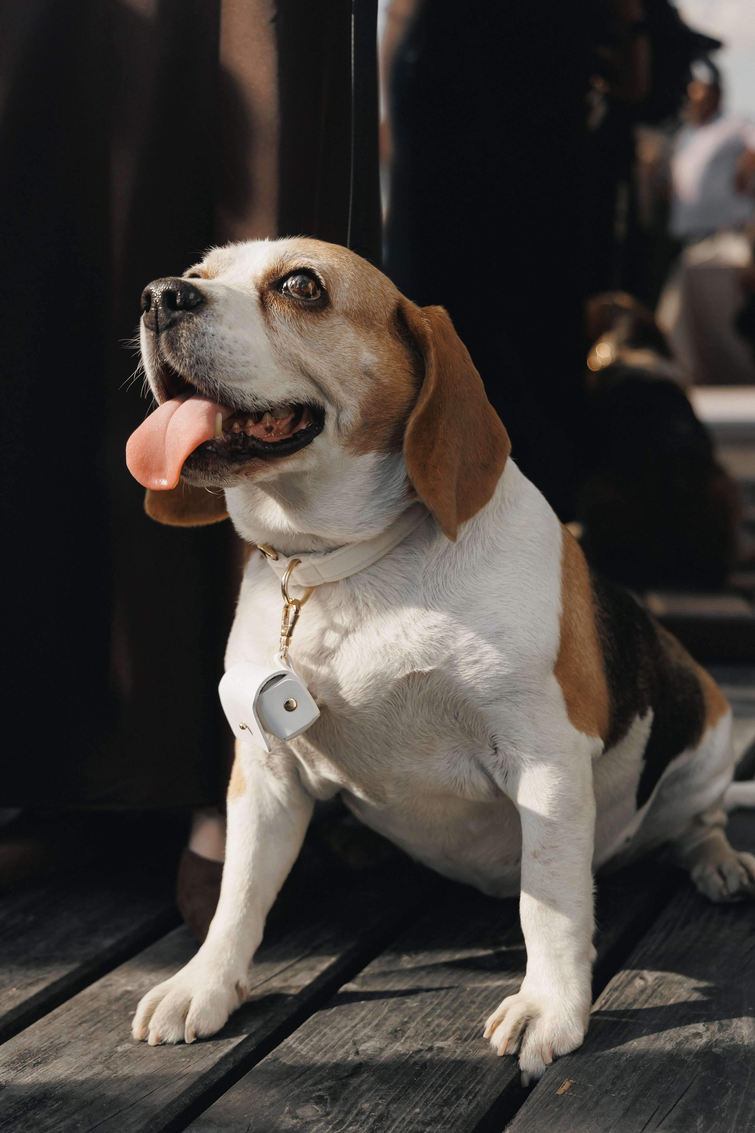 Никита & Регина. Свадебный и семейный фотограф Татьяна Селезнева