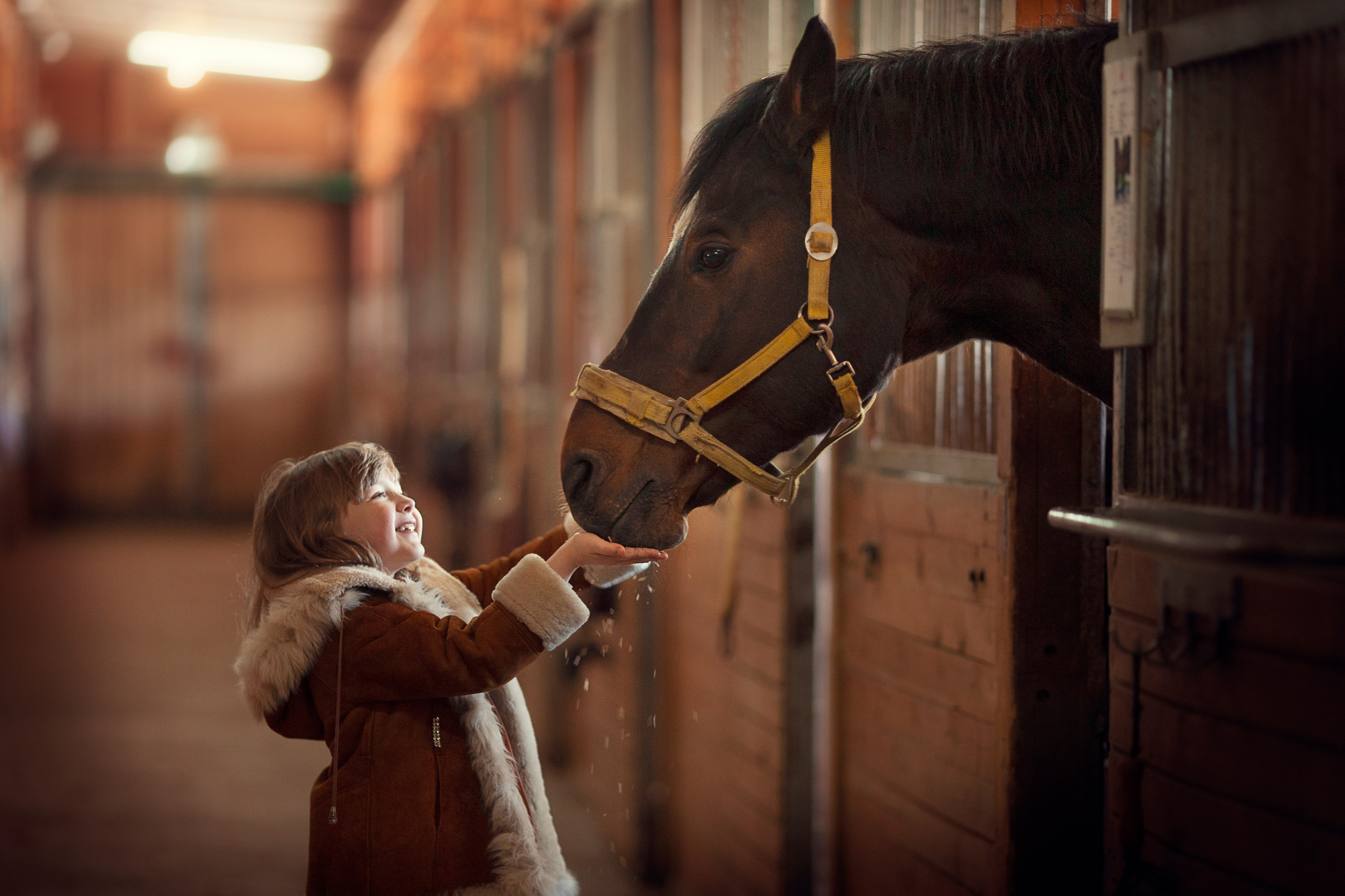 Портфолио. Карнеева Елена. Детский, семейный фотограф