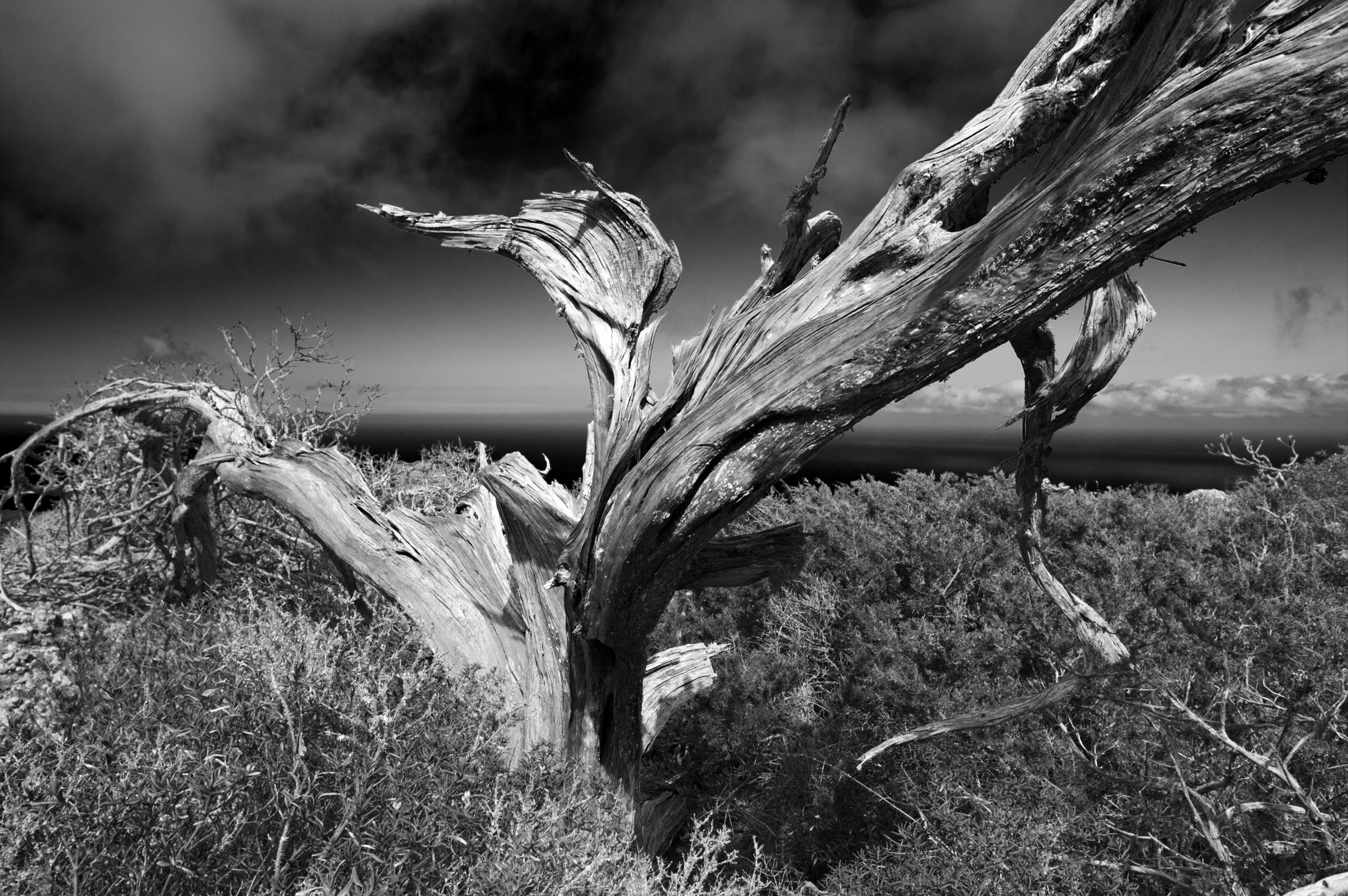 Эль Йерро-параллельные миры. Авторские стильные фотокартины