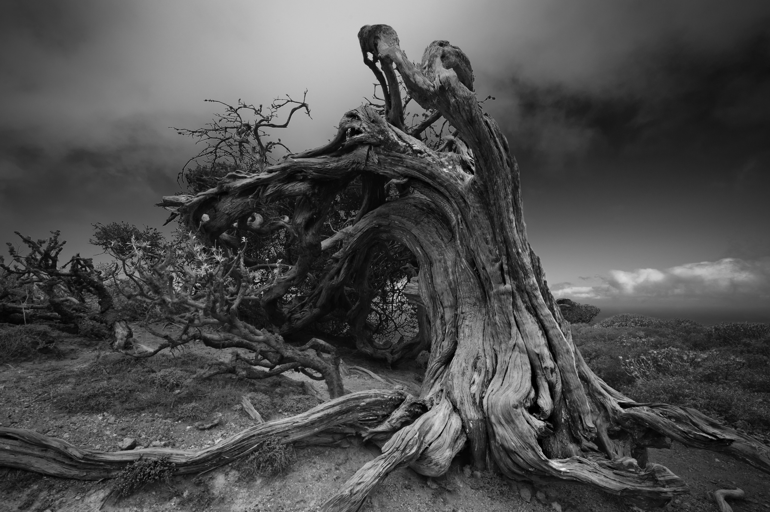 Эль Йерро-параллельные миры. Авторские стильные фотокартины