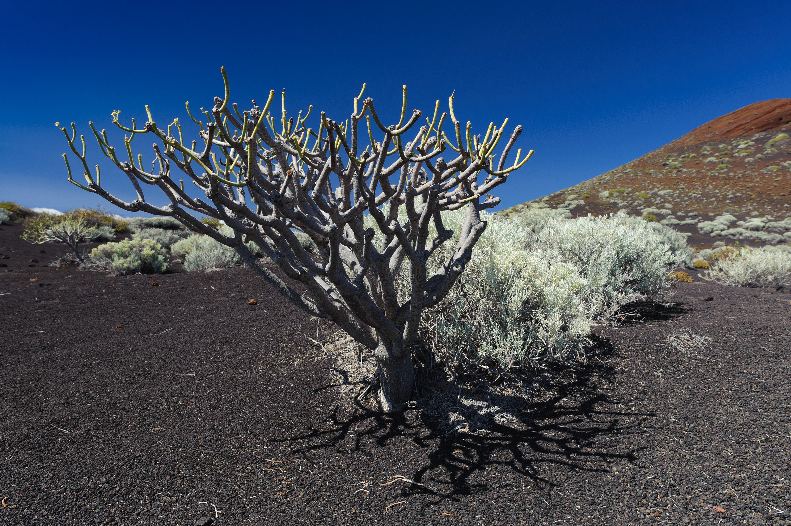 Эль Йерро-параллельные миры. Авторские стильные фотокартины