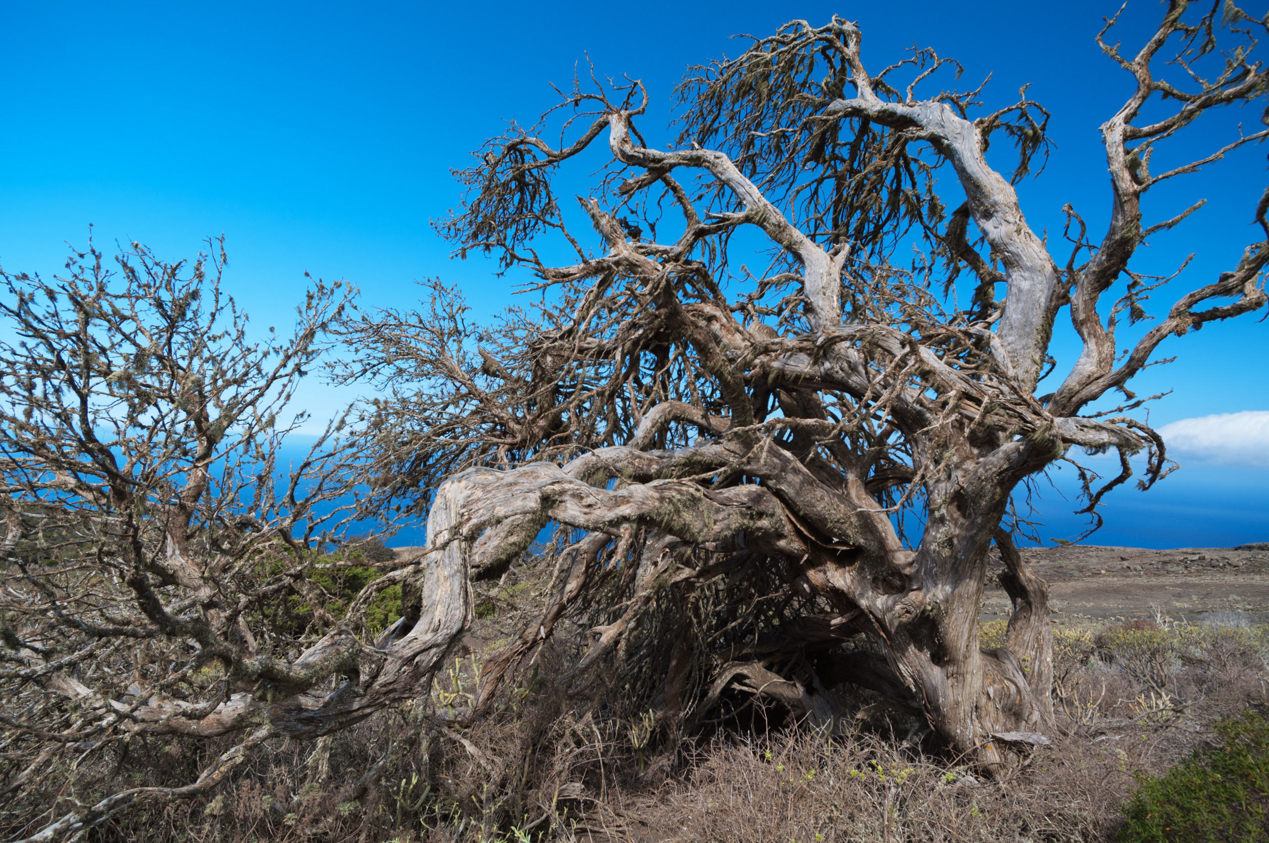 Эль Йерро-параллельные миры. Авторские стильные фотокартины