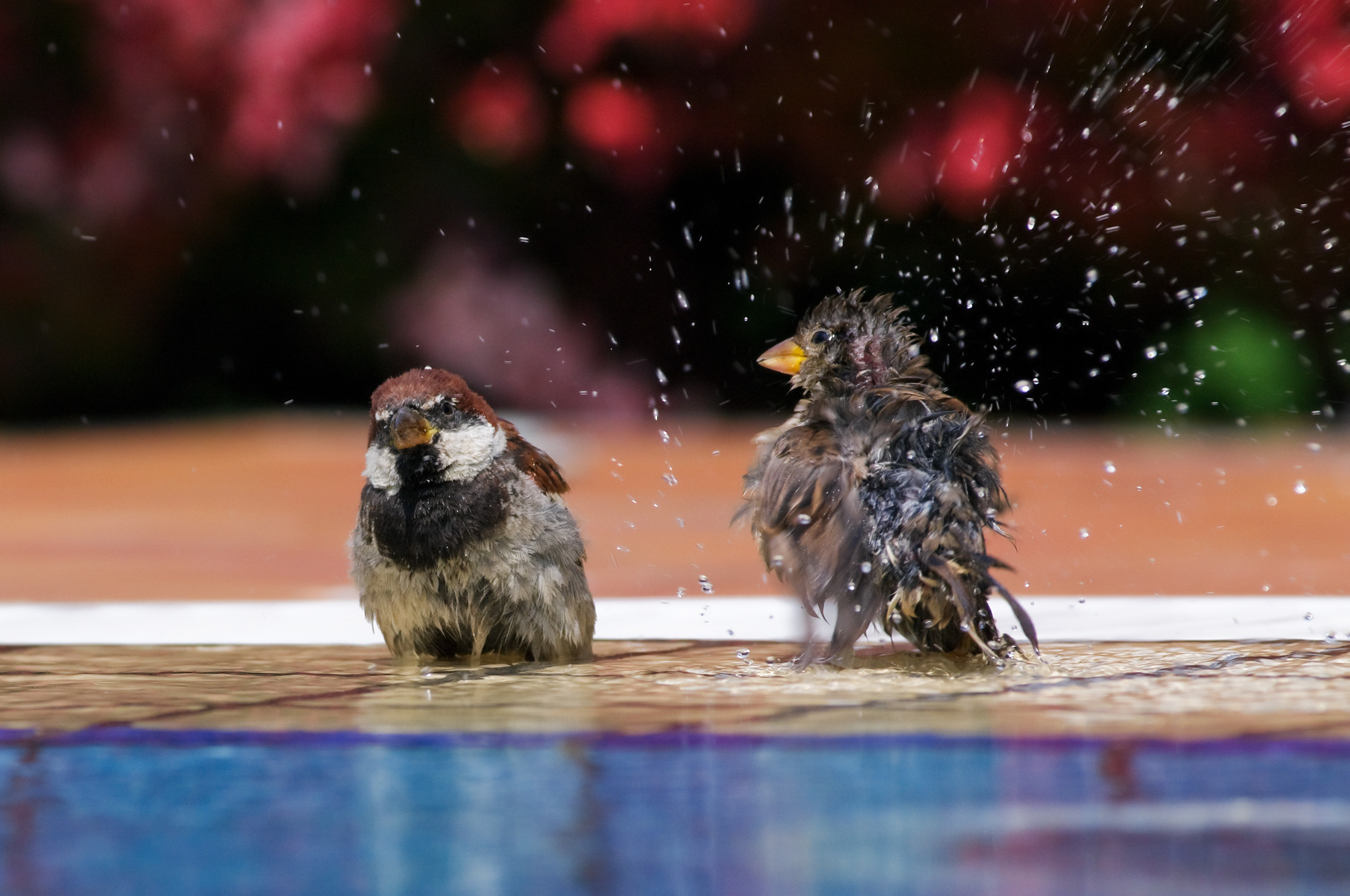 Водными займитесь про-це-дурами...
