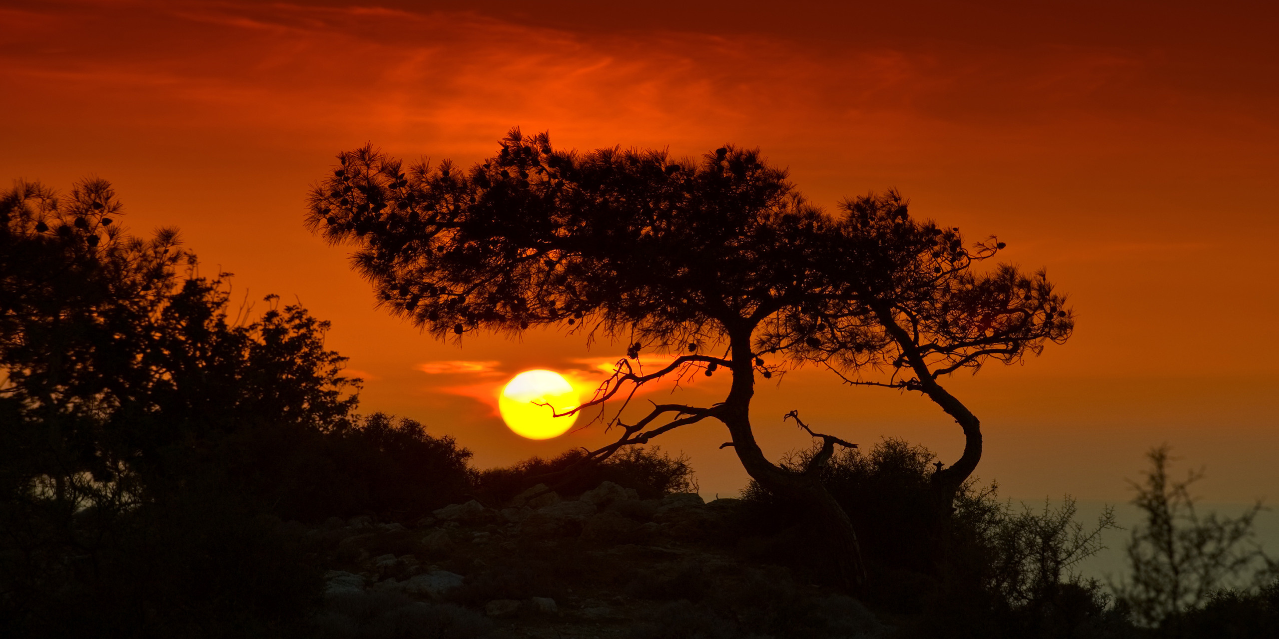 Панорамные фотографии для интерьера Вашего дома, квартиры, офиса или д. Авторские стильные фотокартины