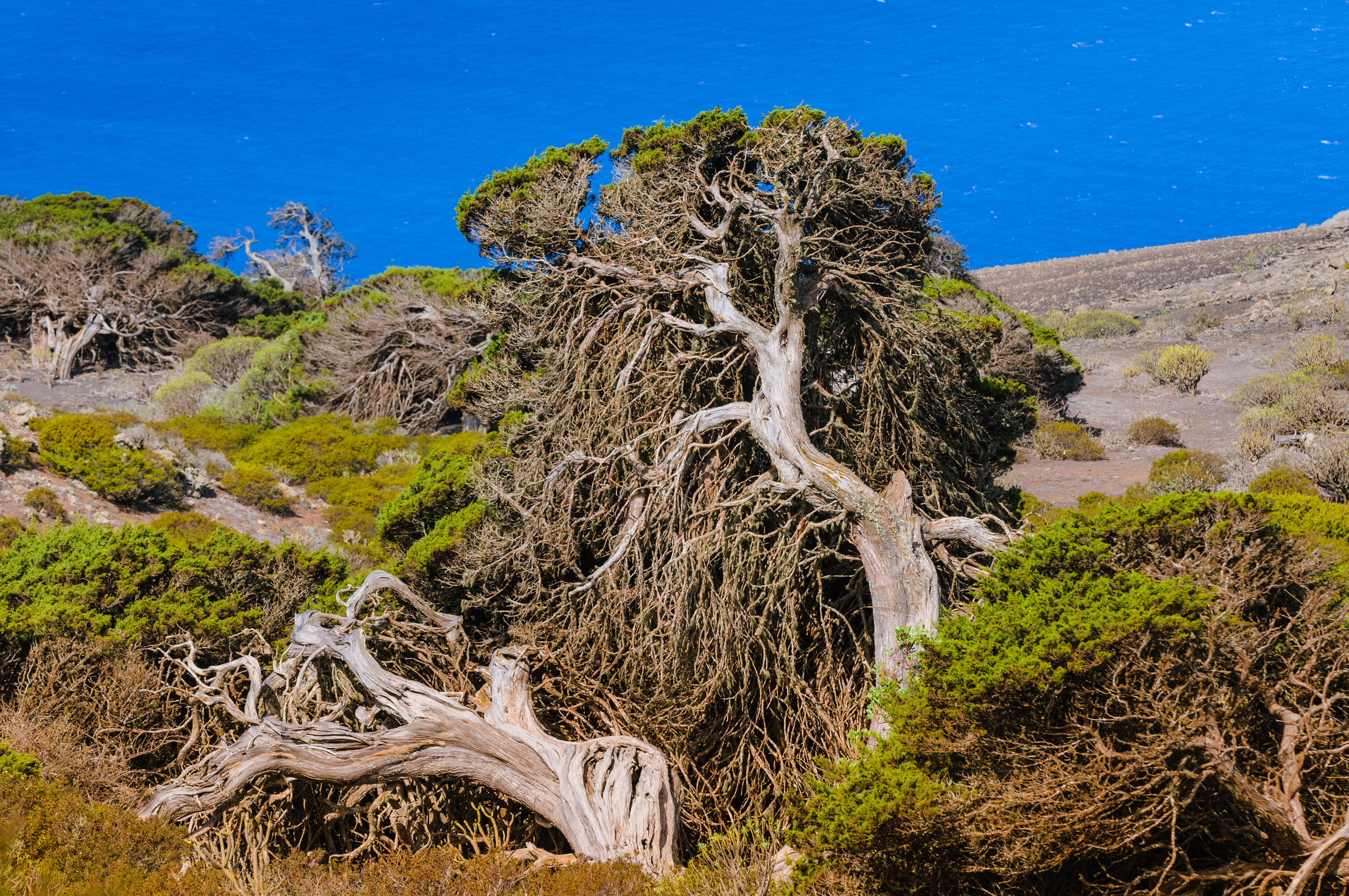 Эль Йерро-параллельные миры. Авторские стильные фотокартины