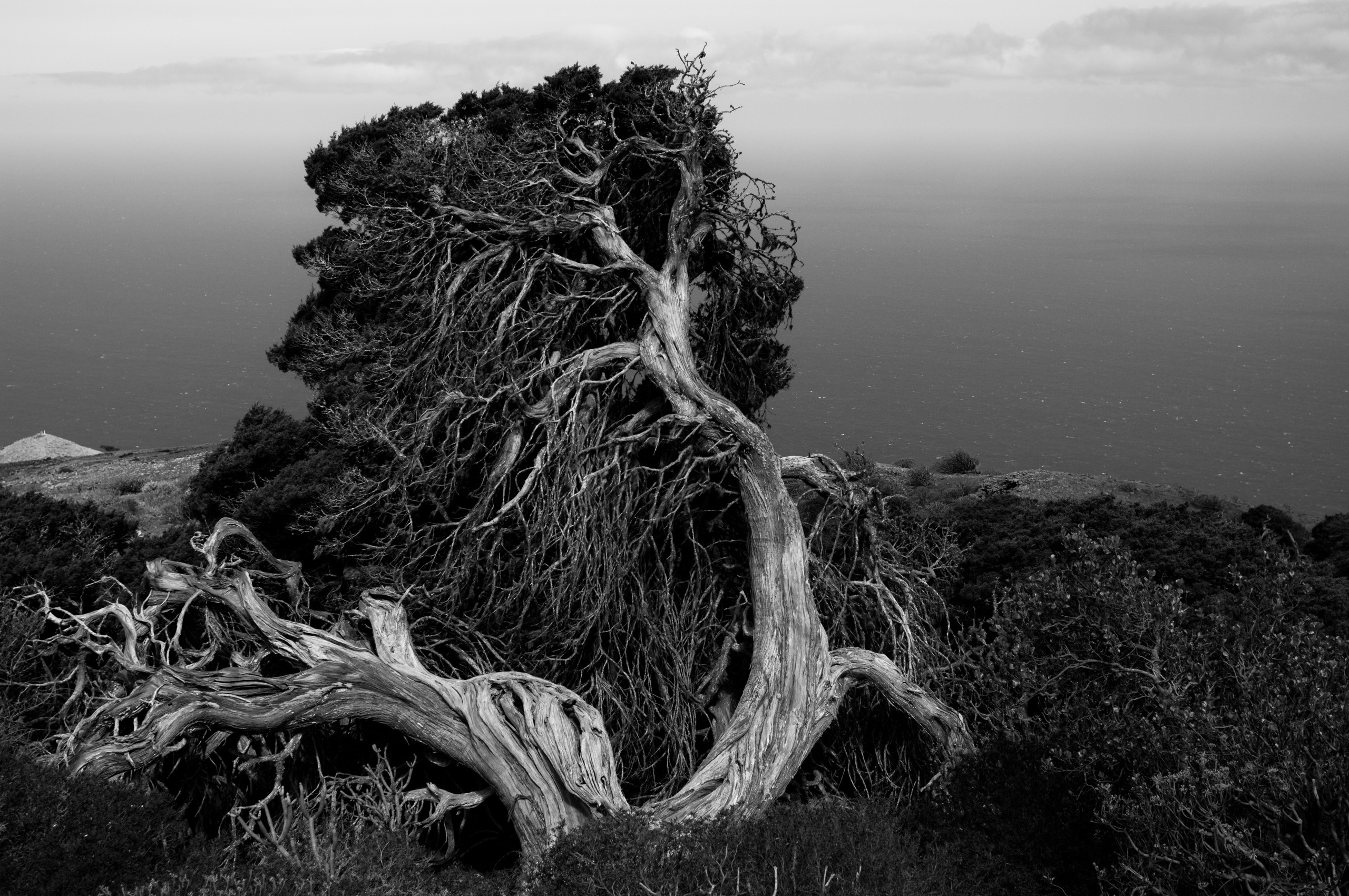 Эль Йерро-параллельные миры. Авторские стильные фотокартины