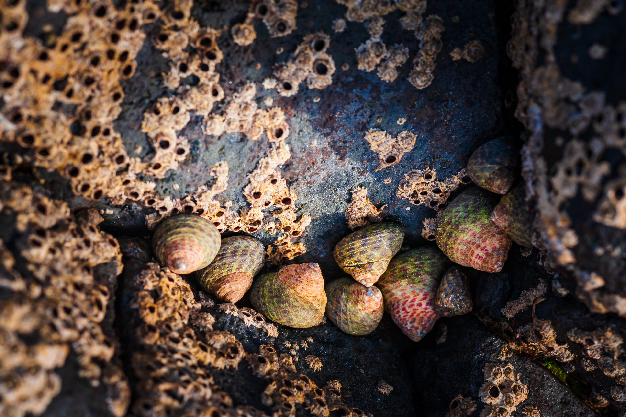 Эль Йерро-параллельные миры. Авторские стильные фотокартины