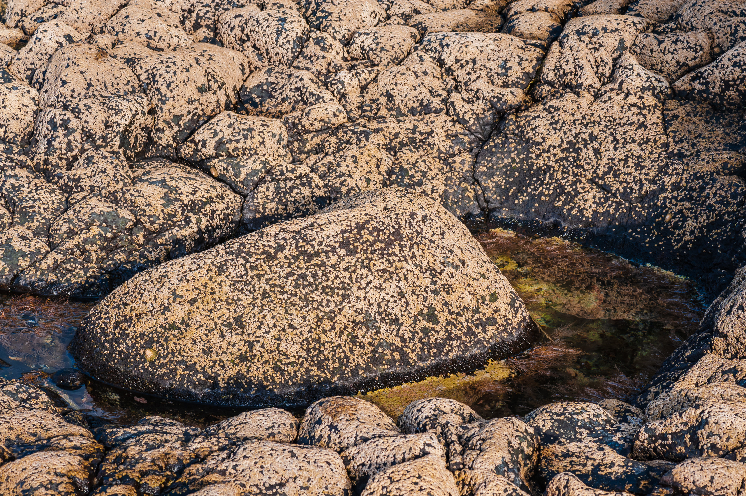 Эль Йерро-параллельные миры. Авторские стильные фотокартины