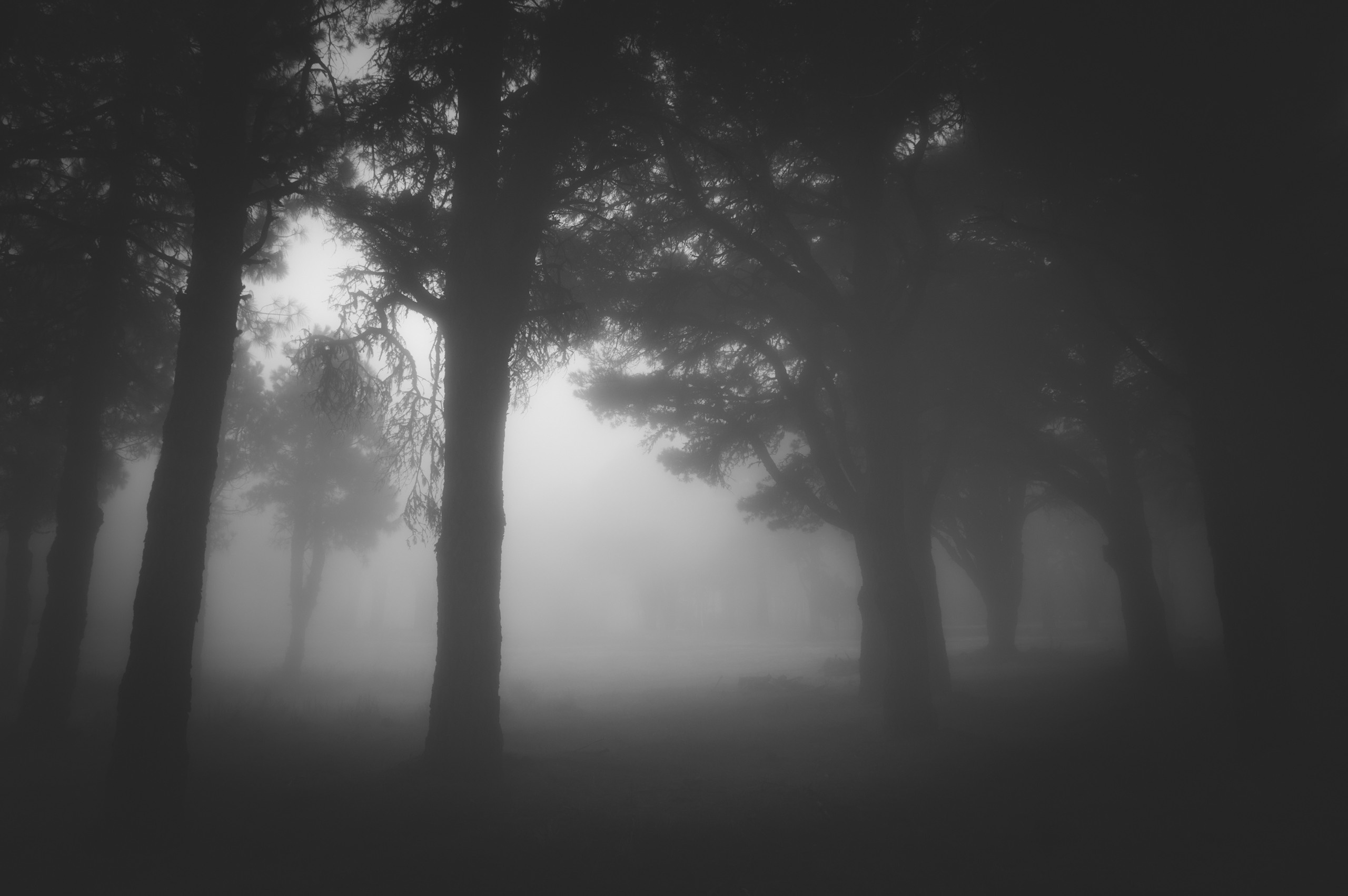 Эль Йерро-параллельные миры. Авторские стильные фотокартины