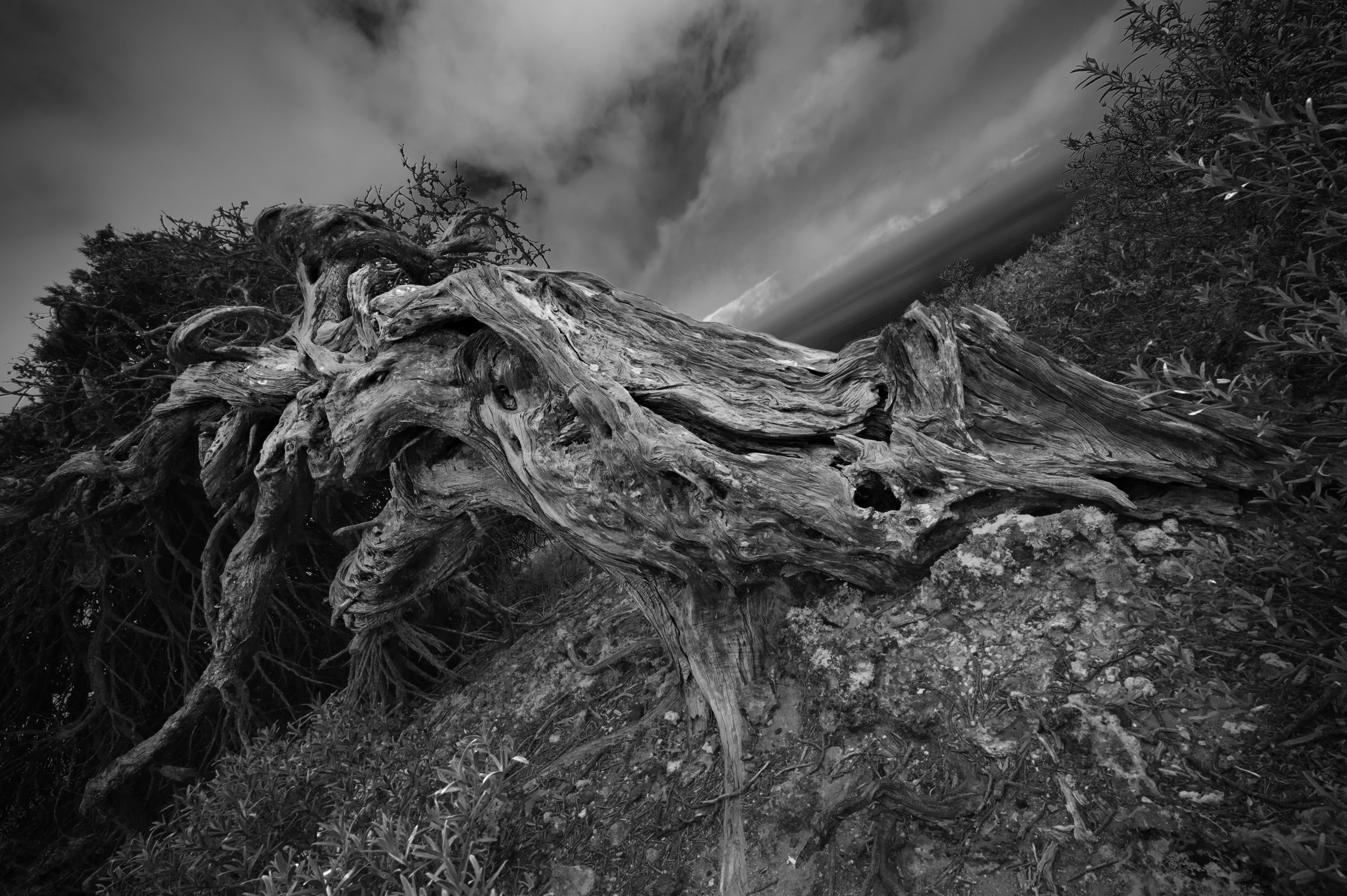 Эль Йерро-параллельные миры. Авторские стильные фотокартины