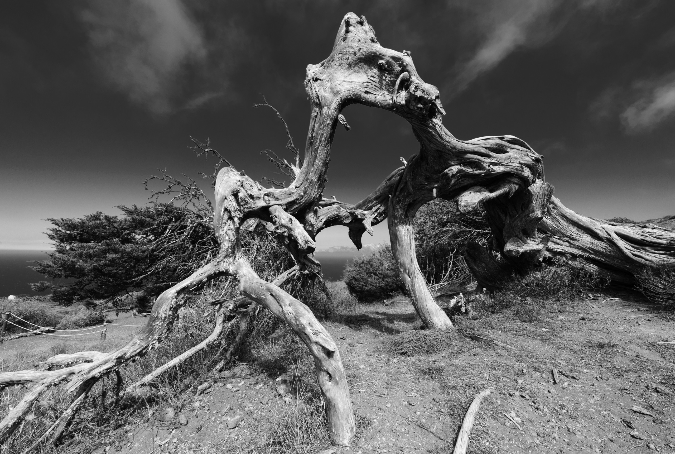 Эль Йерро-параллельные миры. Авторские стильные фотокартины