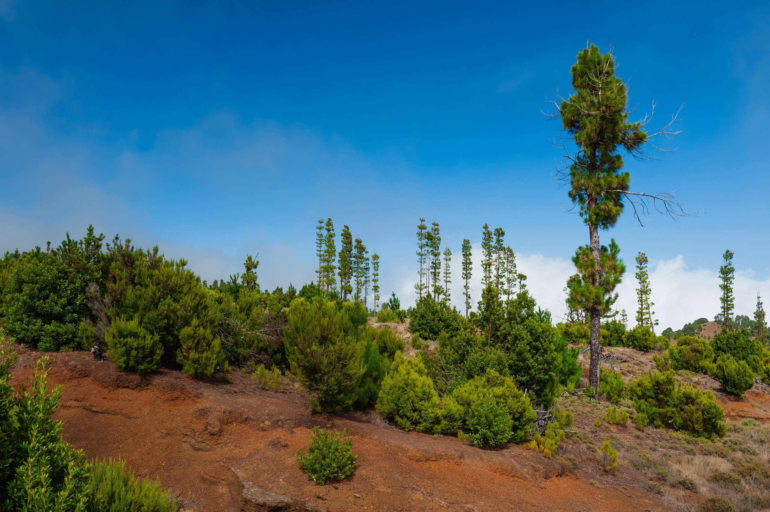 Эль Йерро-параллельные миры. Авторские стильные фотокартины
