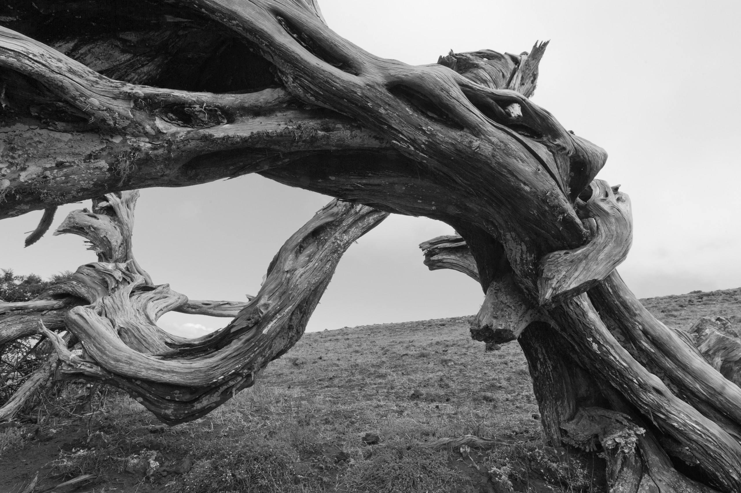 Эль Йерро-параллельные миры. Авторские стильные фотокартины