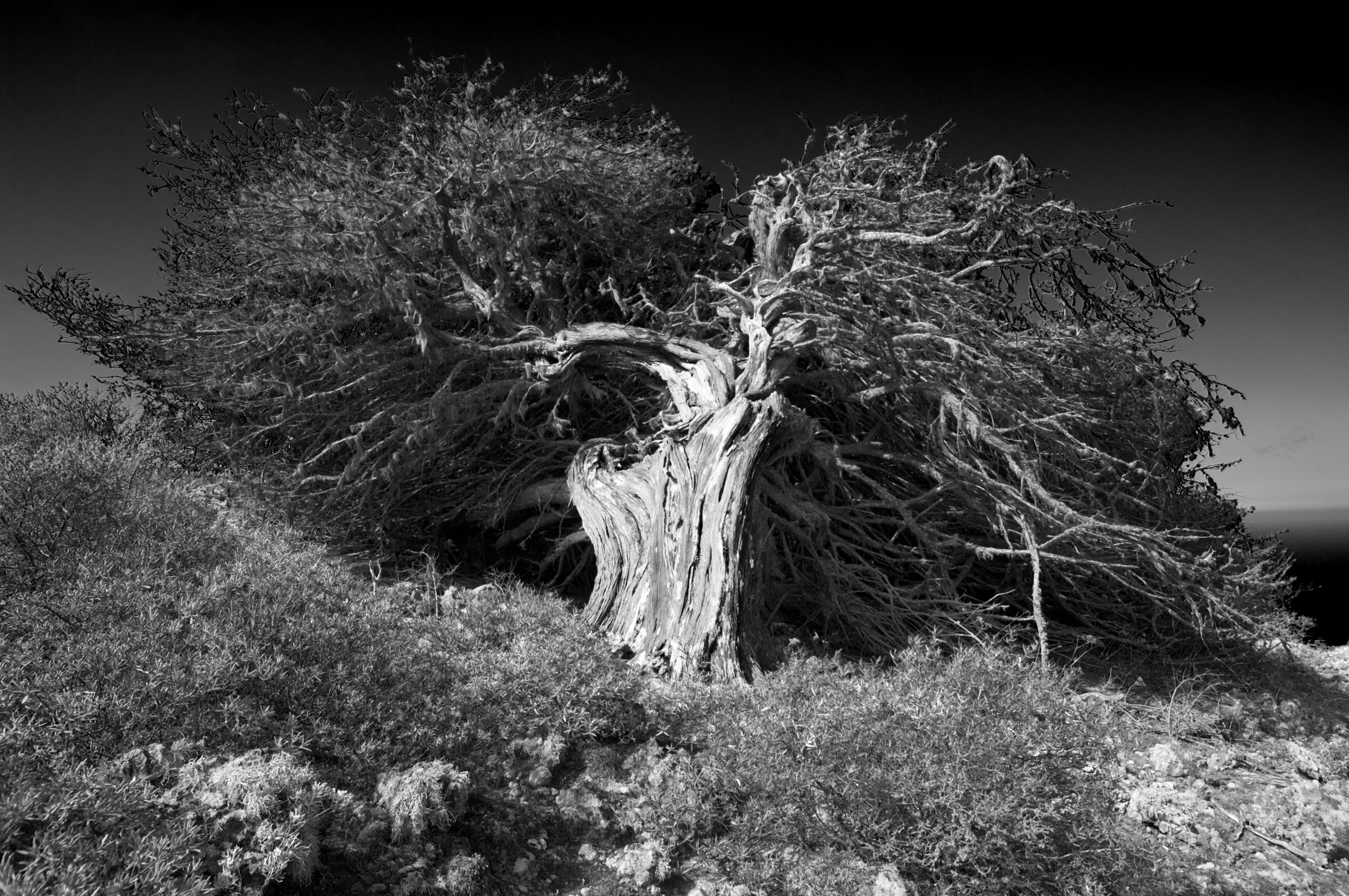 Эль Йерро-параллельные миры. Авторские стильные фотокартины