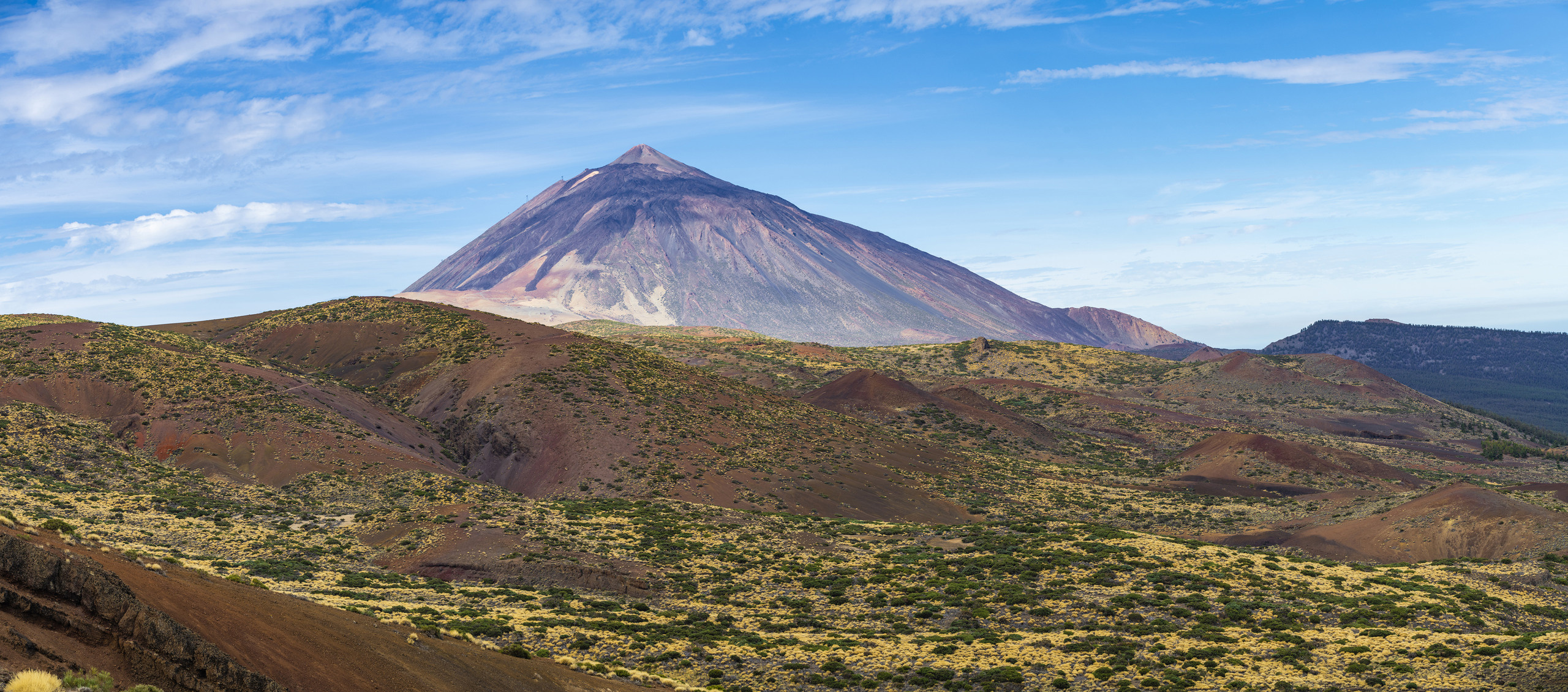 Панорамные фотографии для интерьера Вашего дома, квартиры, офиса или д. Авторские стильные фотокартины