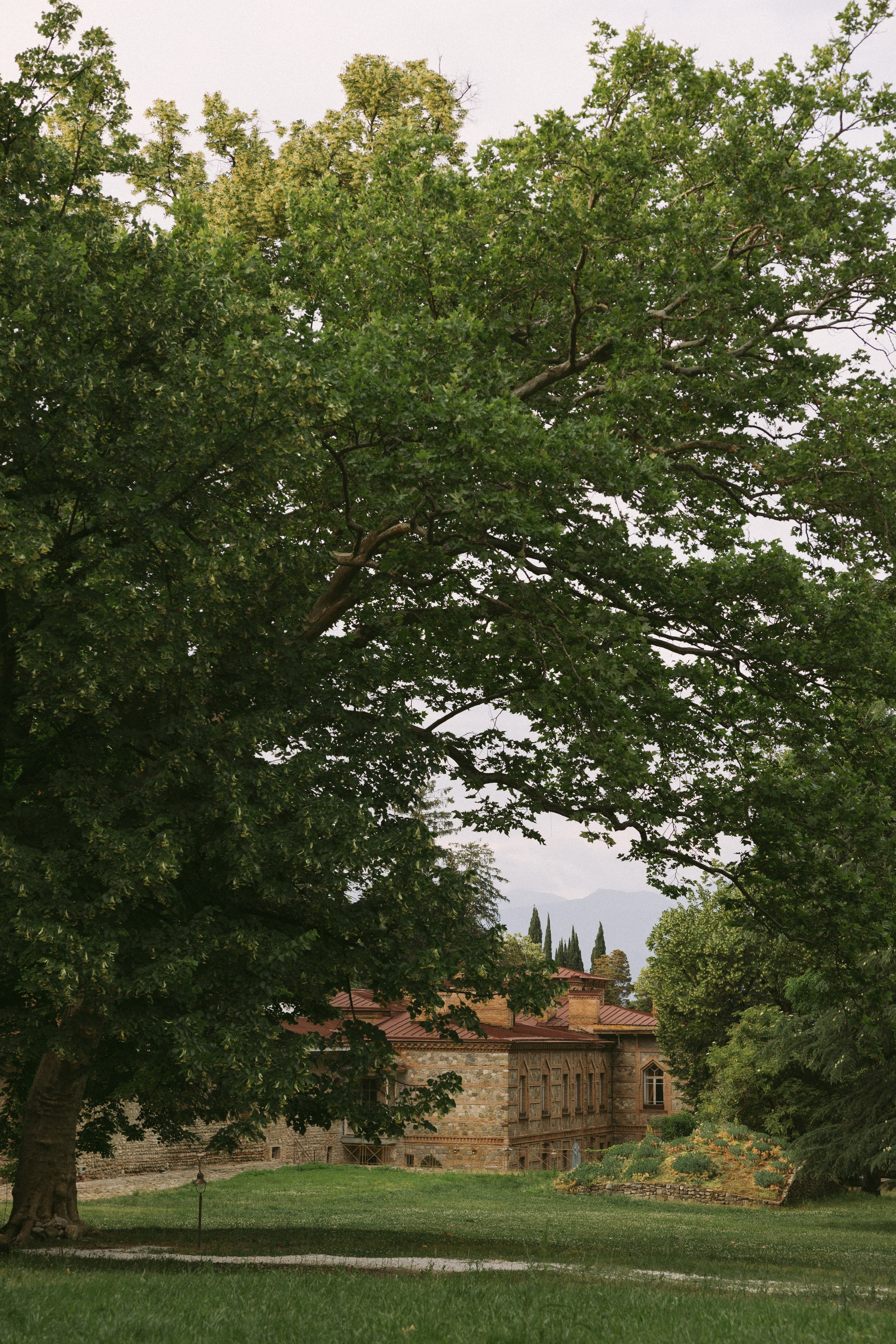 Nitsa & Shali • Tsinandali estate. Anna Fridenberg | wedding photographer