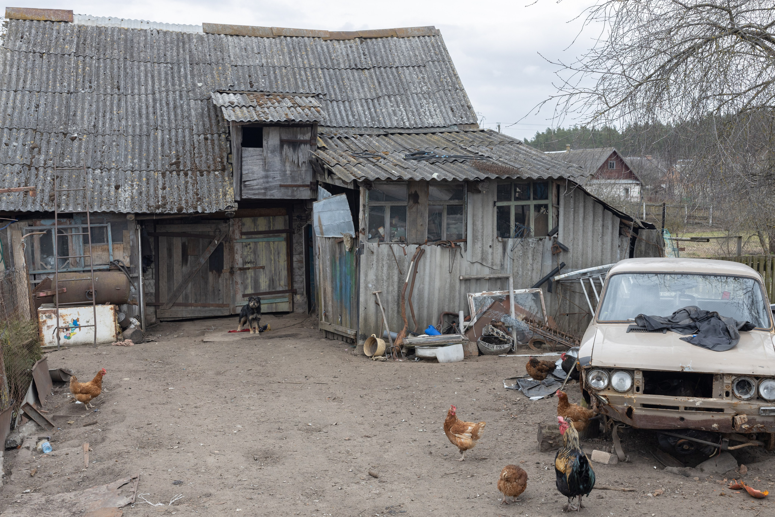 Около меня. Documentary photographer Anton Zdanovich