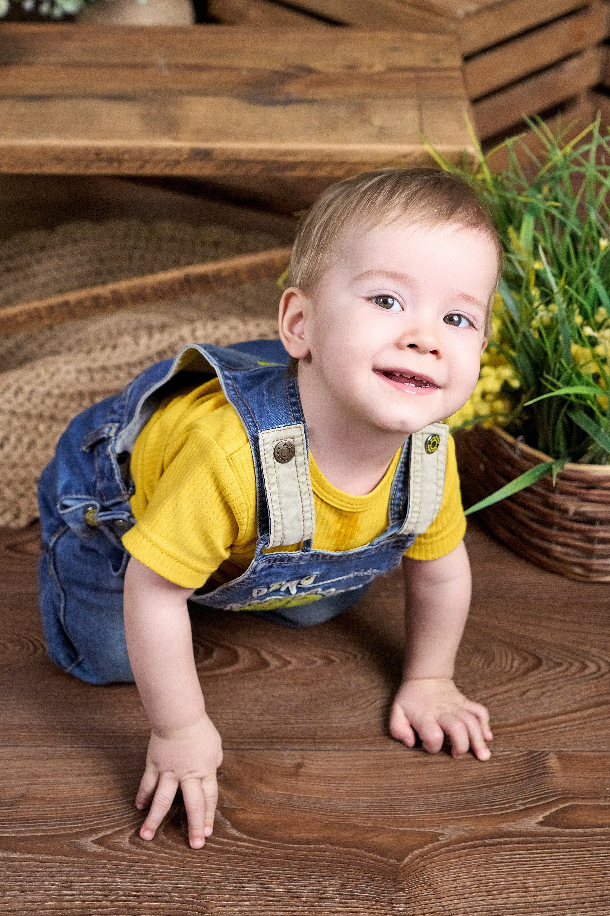 Пасхальная фотосессия с животными в&nbsp;студии «Антураж» Краснодар