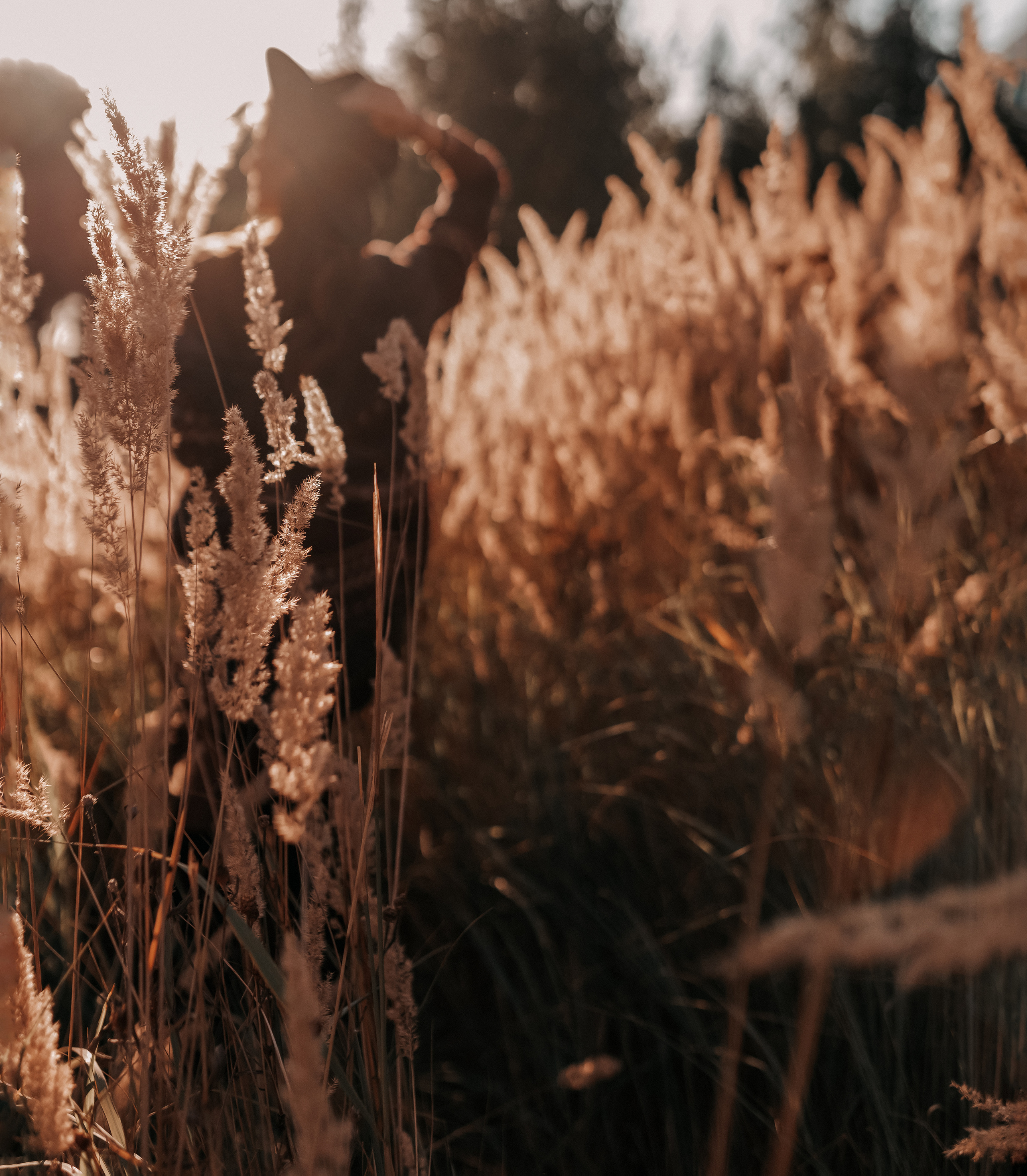 Алиса. Фотограф в Сочи Светлана Сарры